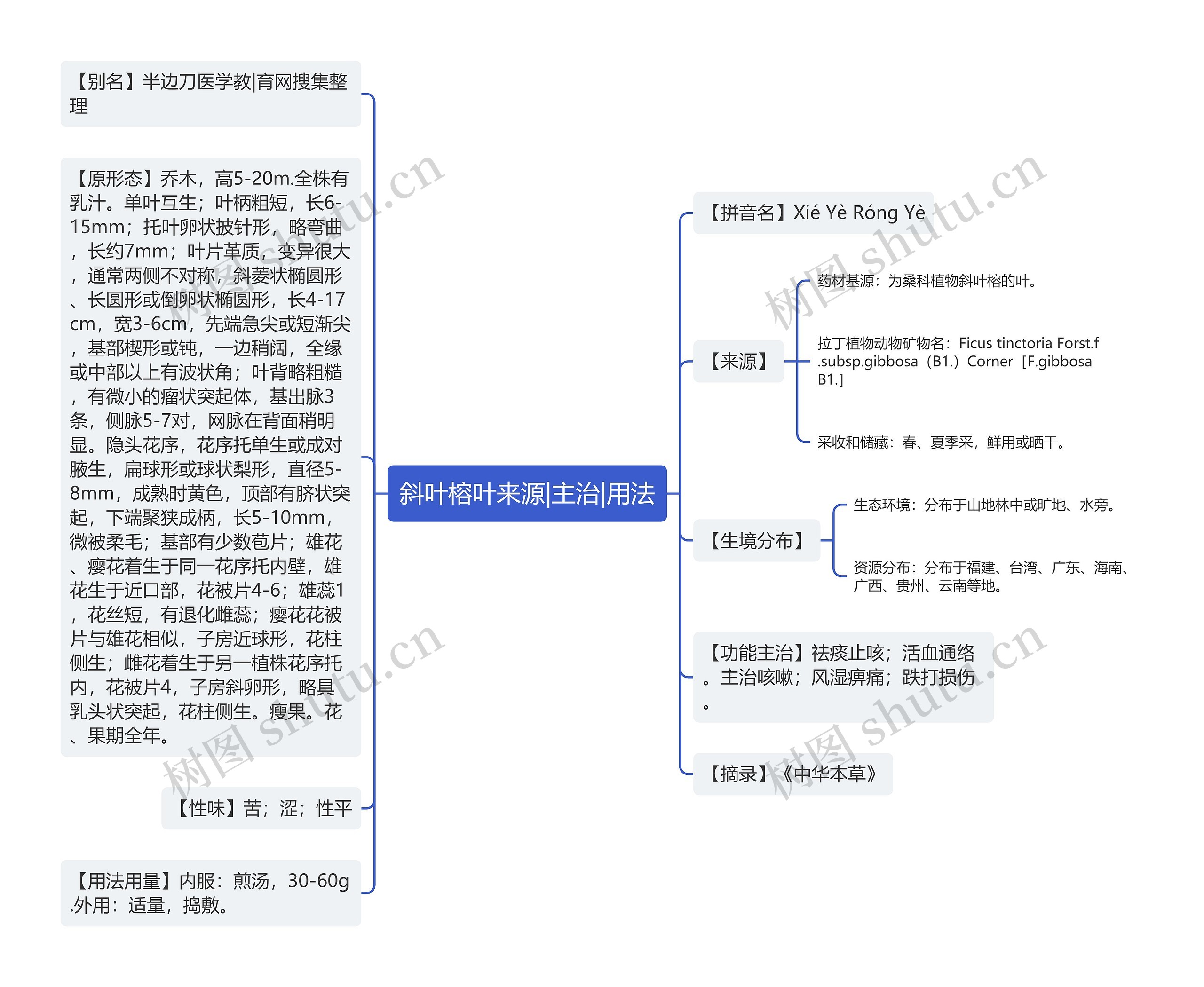 斜叶榕叶来源|主治|用法思维导图