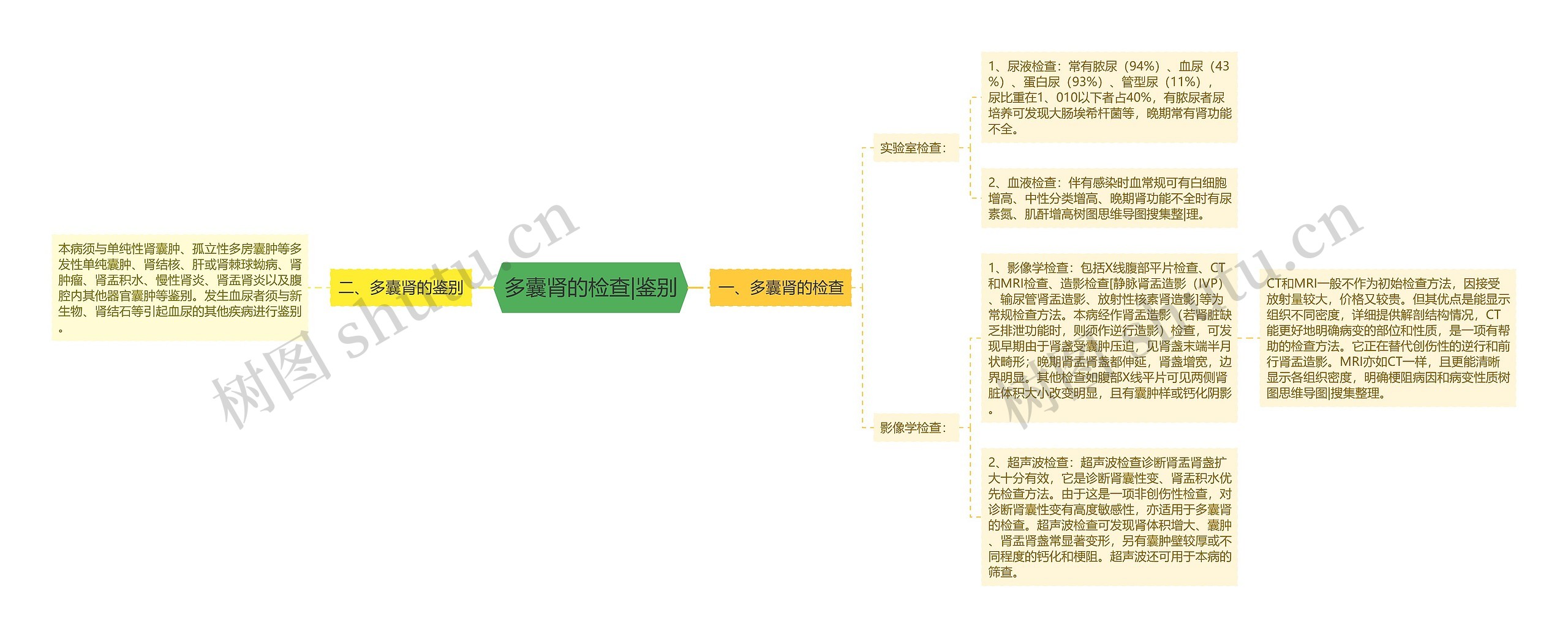 多囊肾的检查|鉴别思维导图