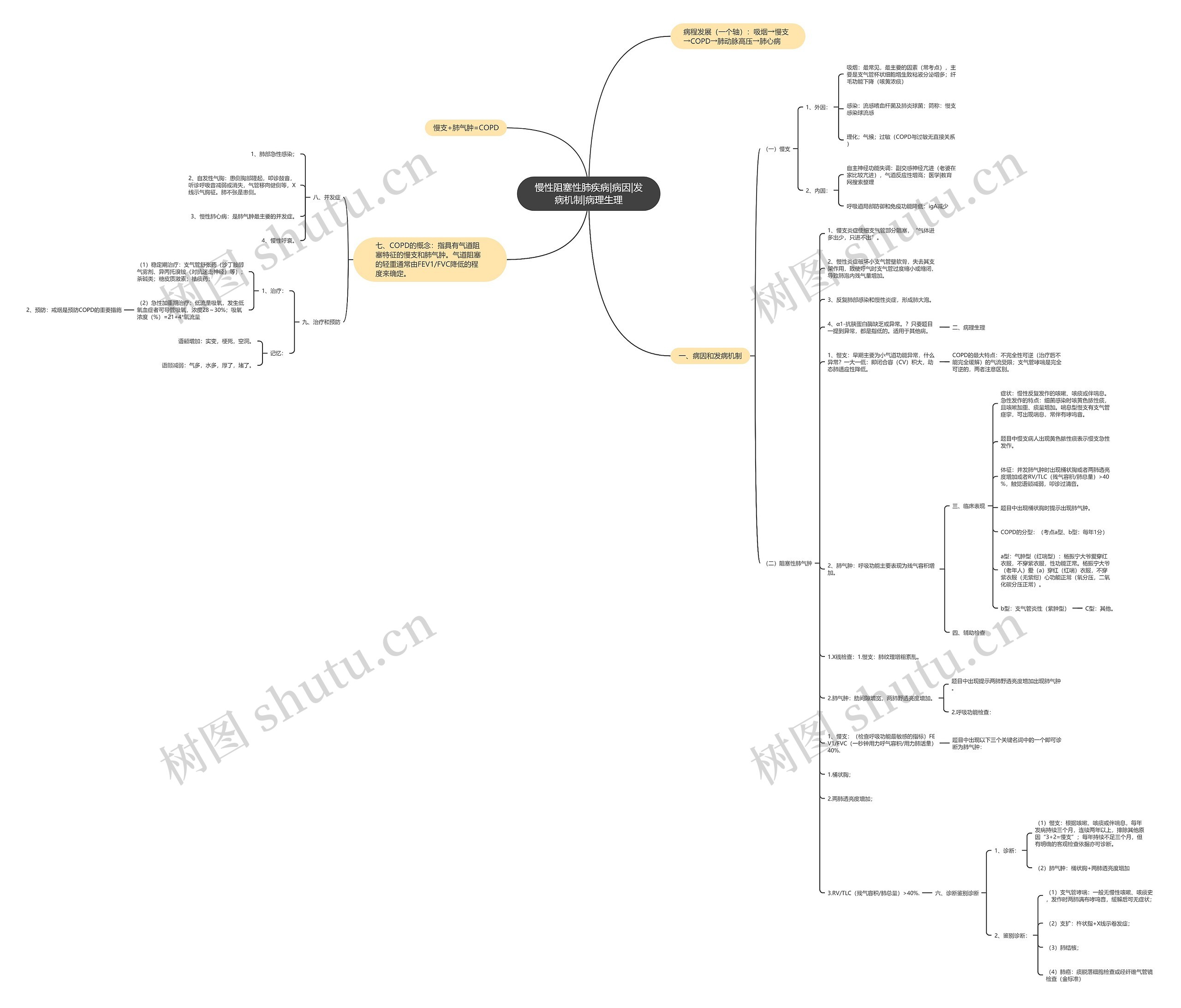 慢性阻塞性肺疾病|病因|发病机制|病理生理 慢性阻塞性肺疾病|病因|发病机制|病理生理