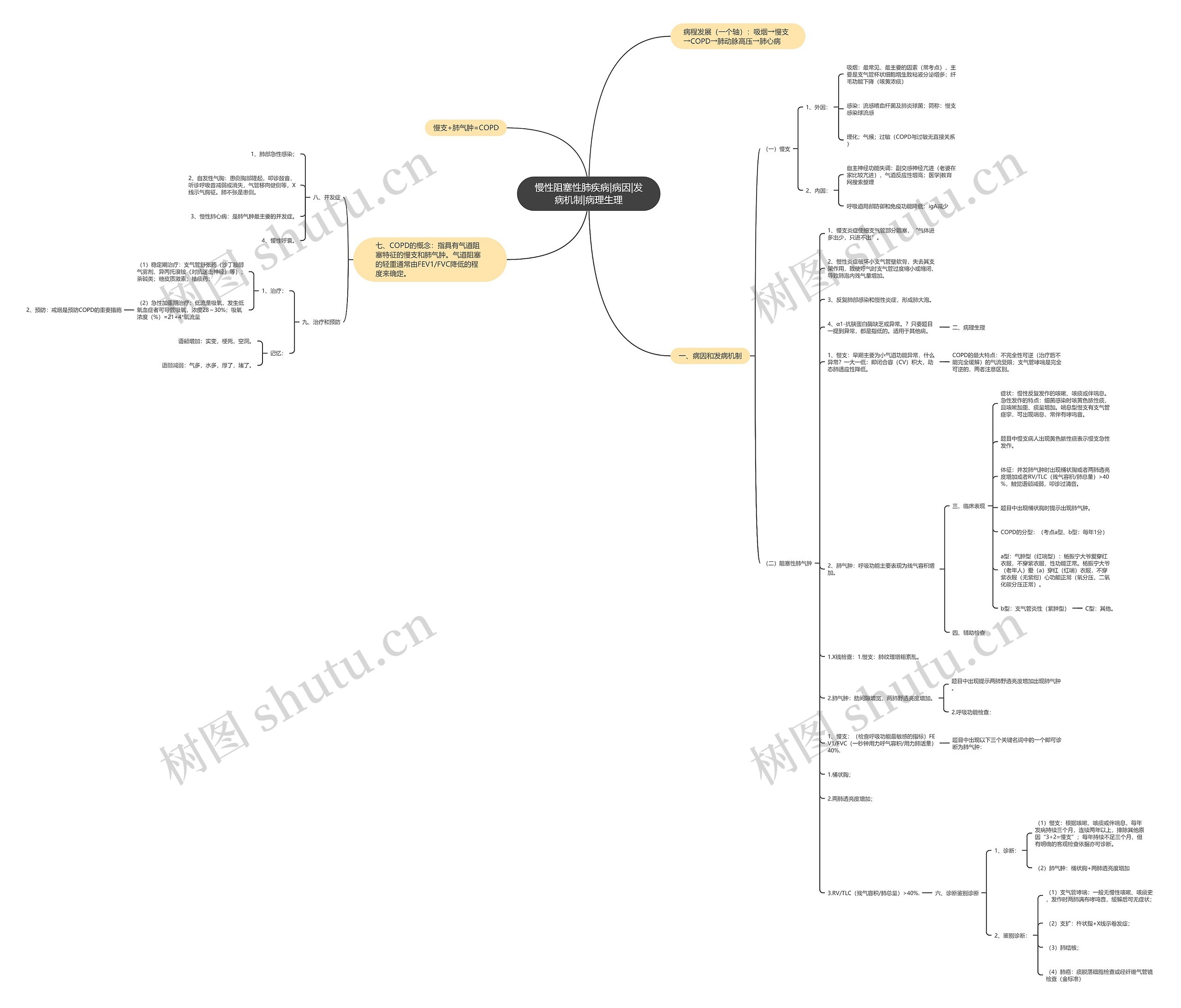 慢性阻塞性肺疾病|病因|发病机制|病理生理思维导图
