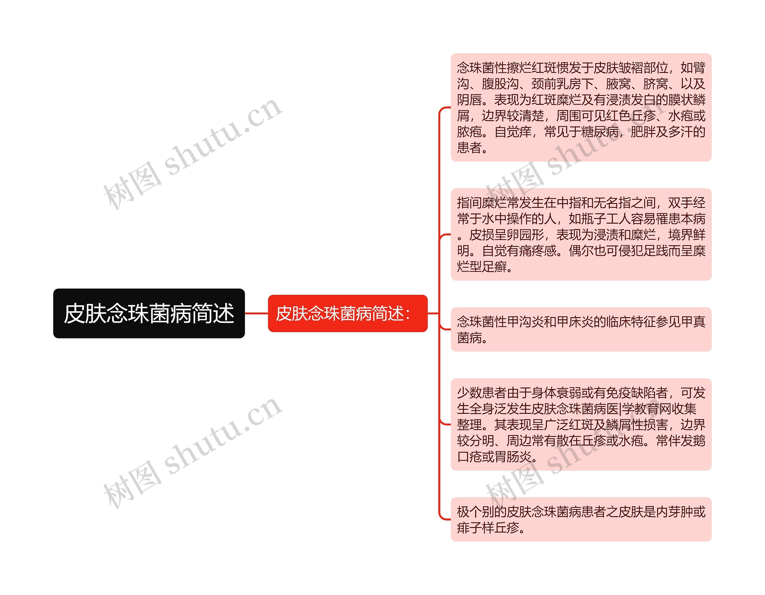 皮肤念珠菌病简述思维导图