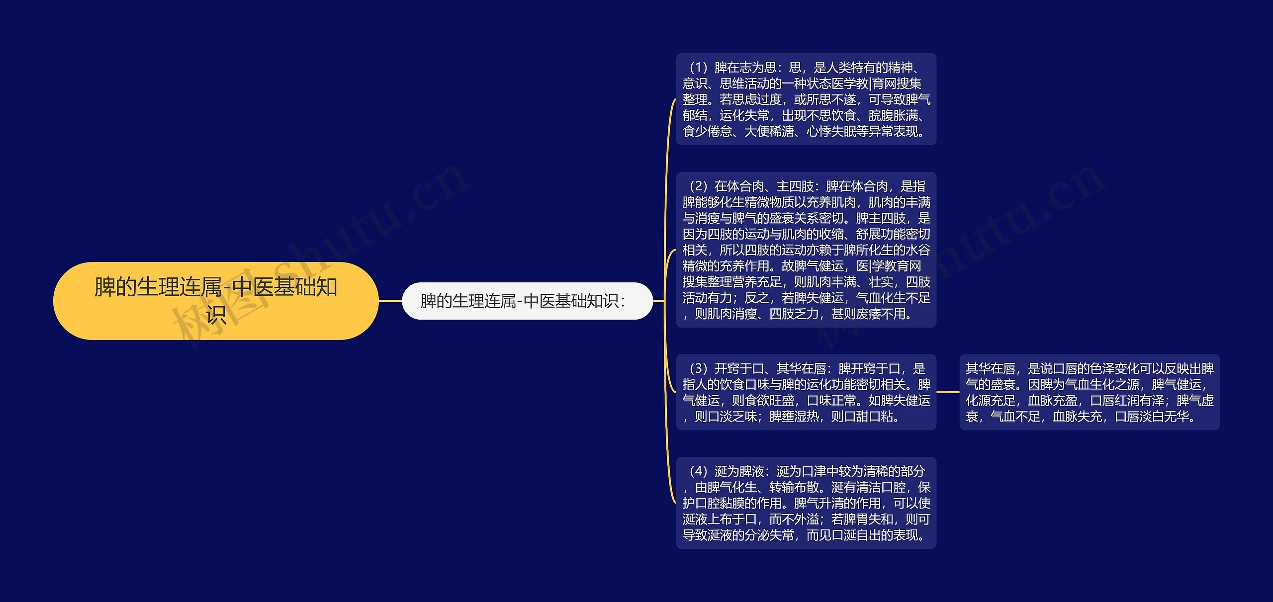 脾的生理连属-中医基础知识思维导图