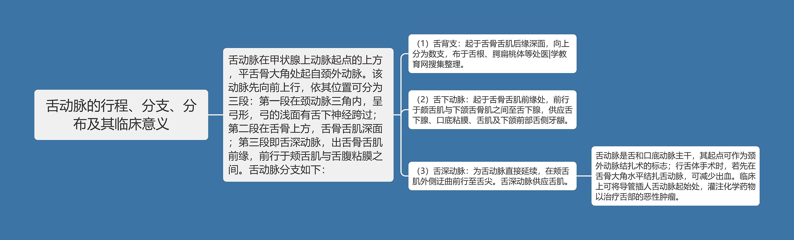 舌动脉的行程、分支、分布及其临床意义思维导图