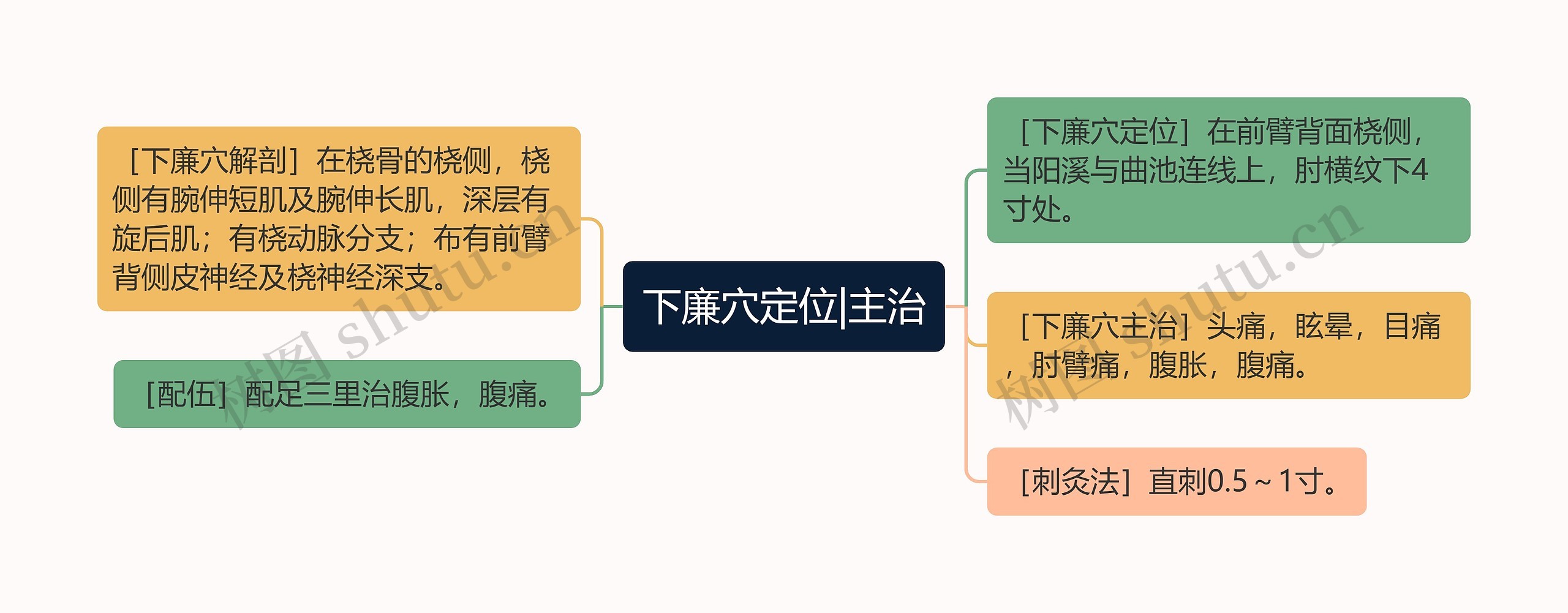 下廉穴定位|主治思维导图