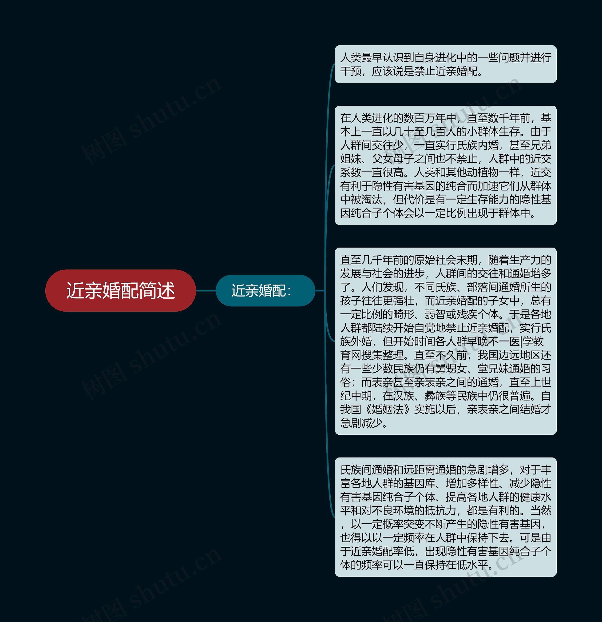 近亲婚配简述思维导图