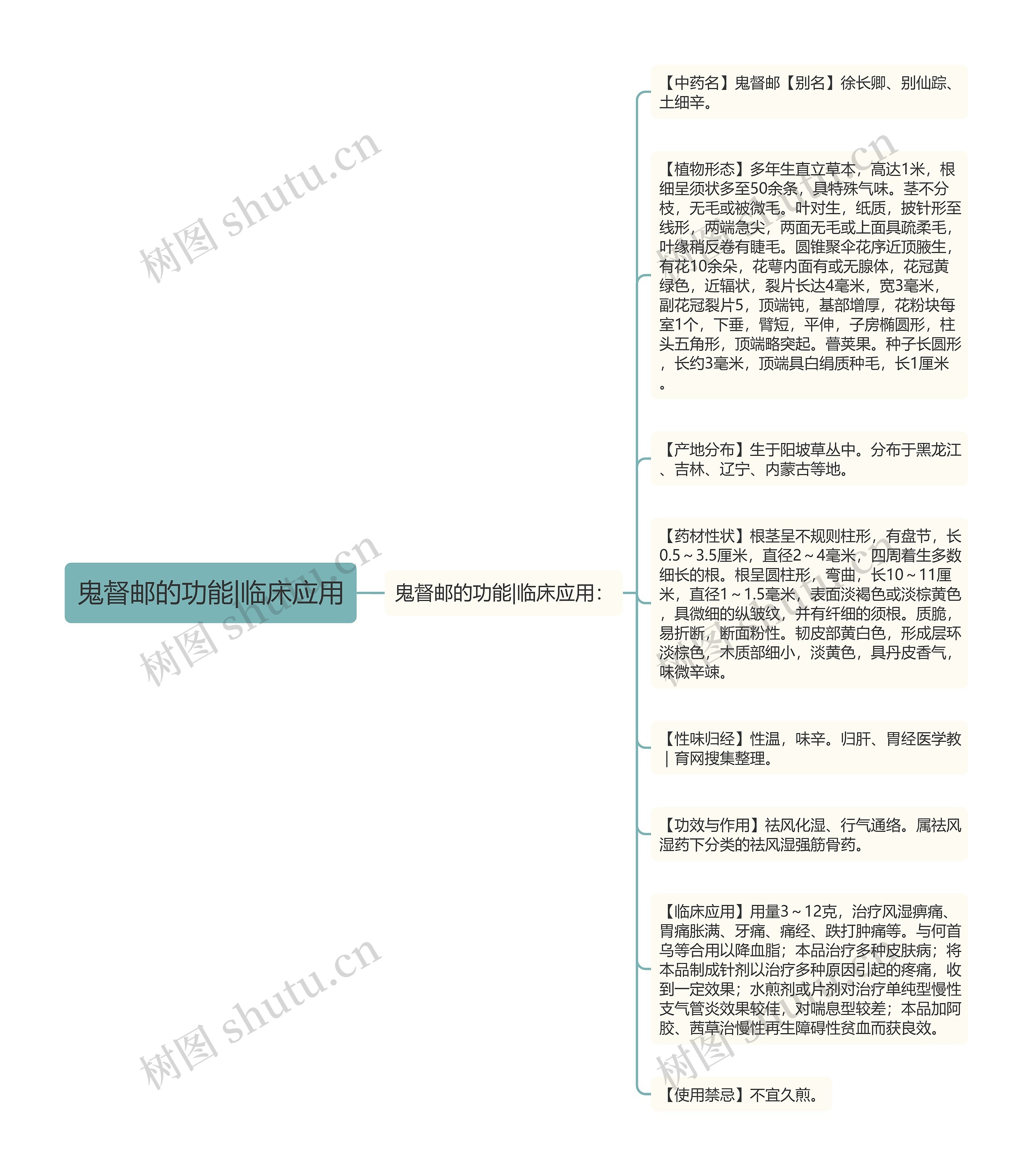 鬼督邮的功能|临床应用思维导图