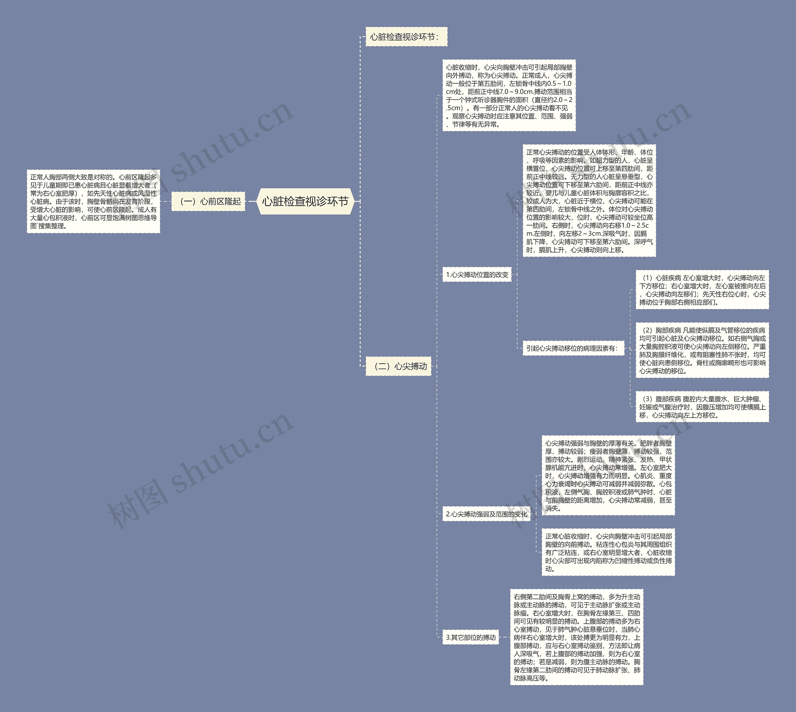 心脏检查视诊环节思维导图