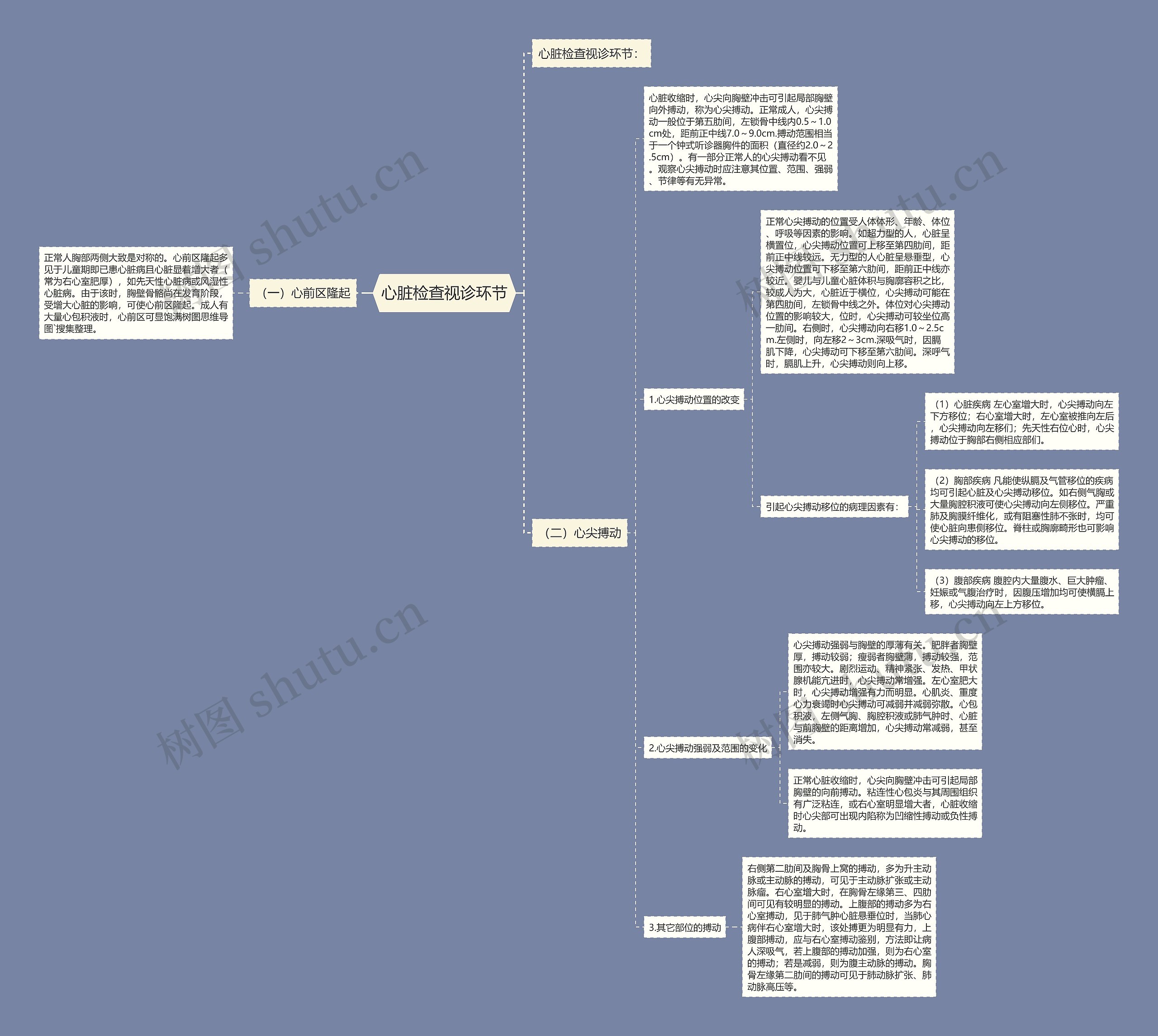 心脏检查视诊环节 心脏检查视诊环节
