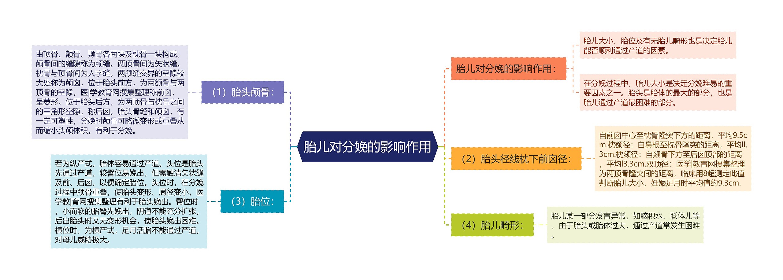 胎儿对分娩的影响作用思维导图