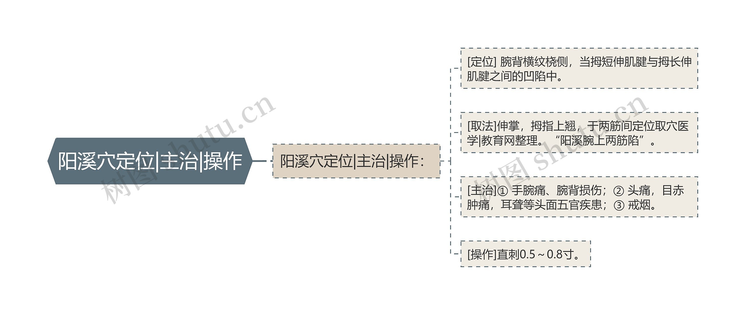 阳溪穴定位|主治|操作思维导图