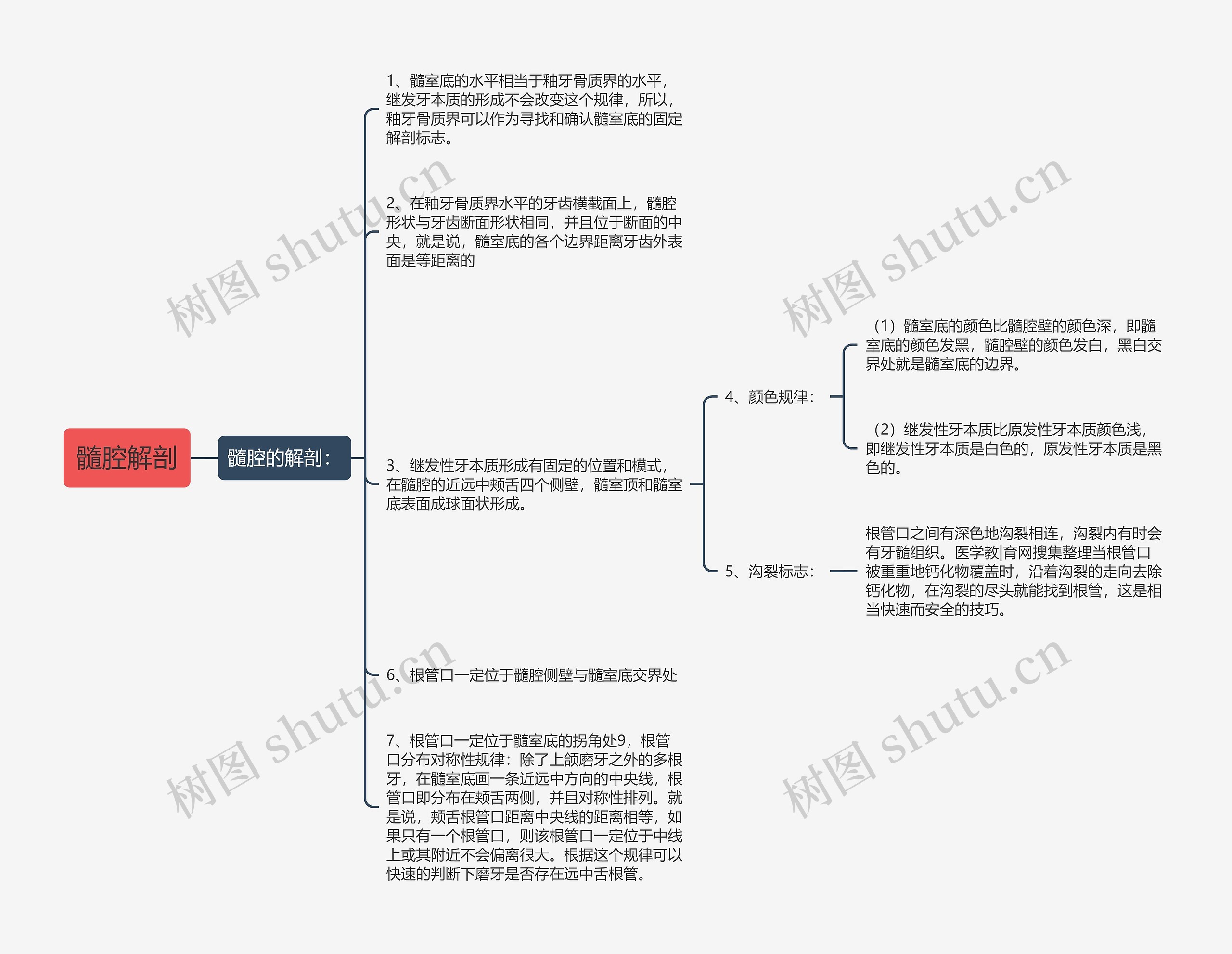 髓腔解剖思维导图高清图 髓腔解剖思维导图