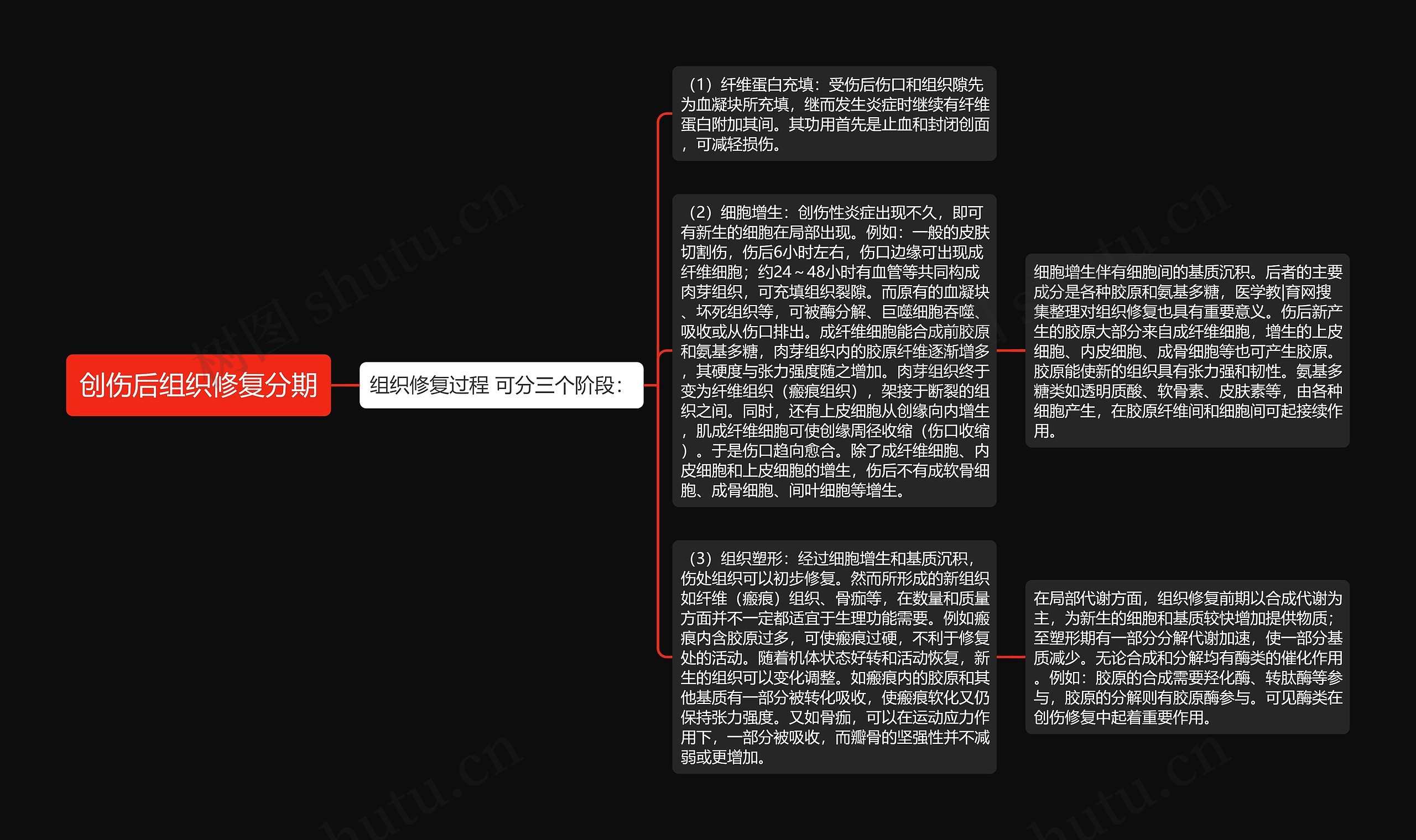创伤后组织修复分期 创伤后组织修复分期