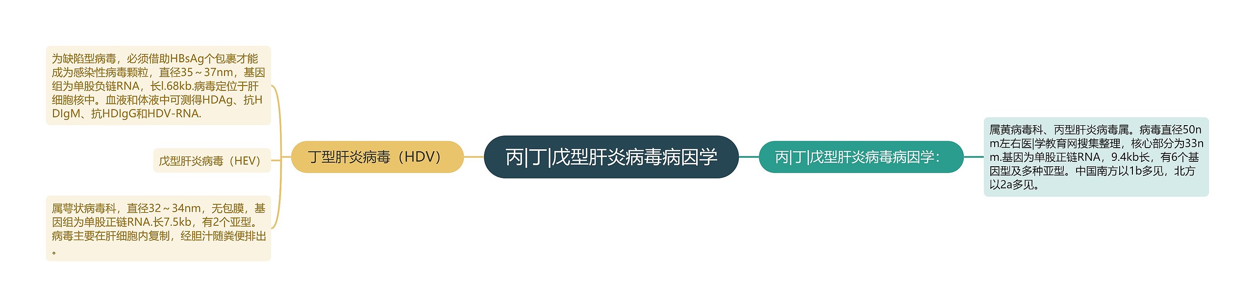 丙|丁|戊型肝炎病毒病因学思维导图