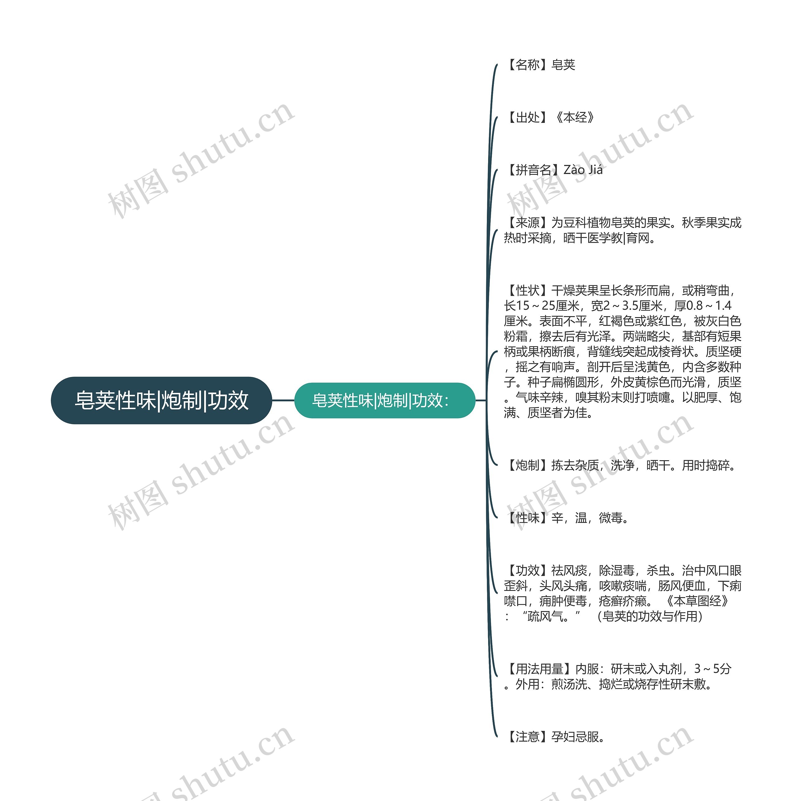 皂荚性味|炮制|功效