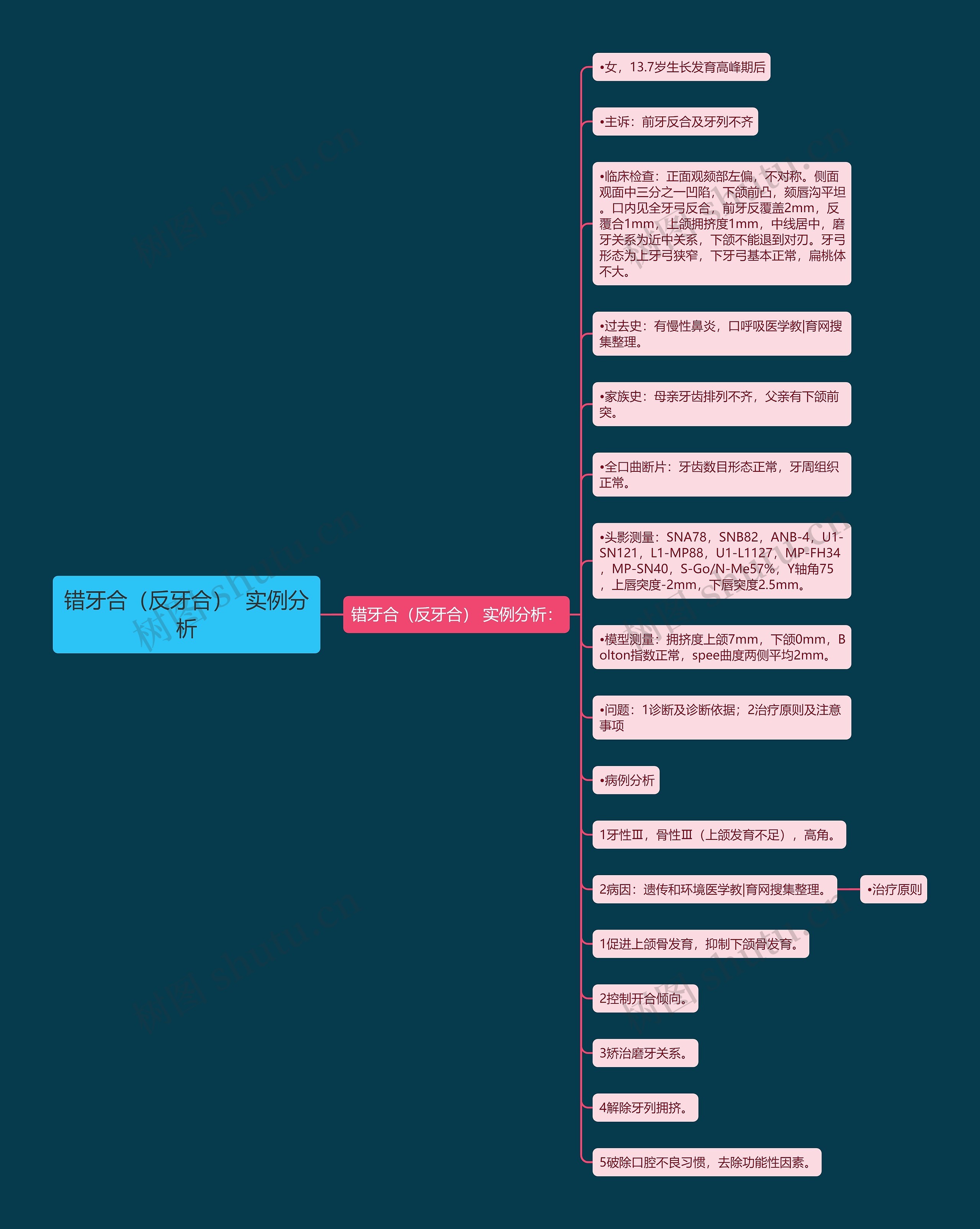 错牙合（反牙合）  实例分析思维导图