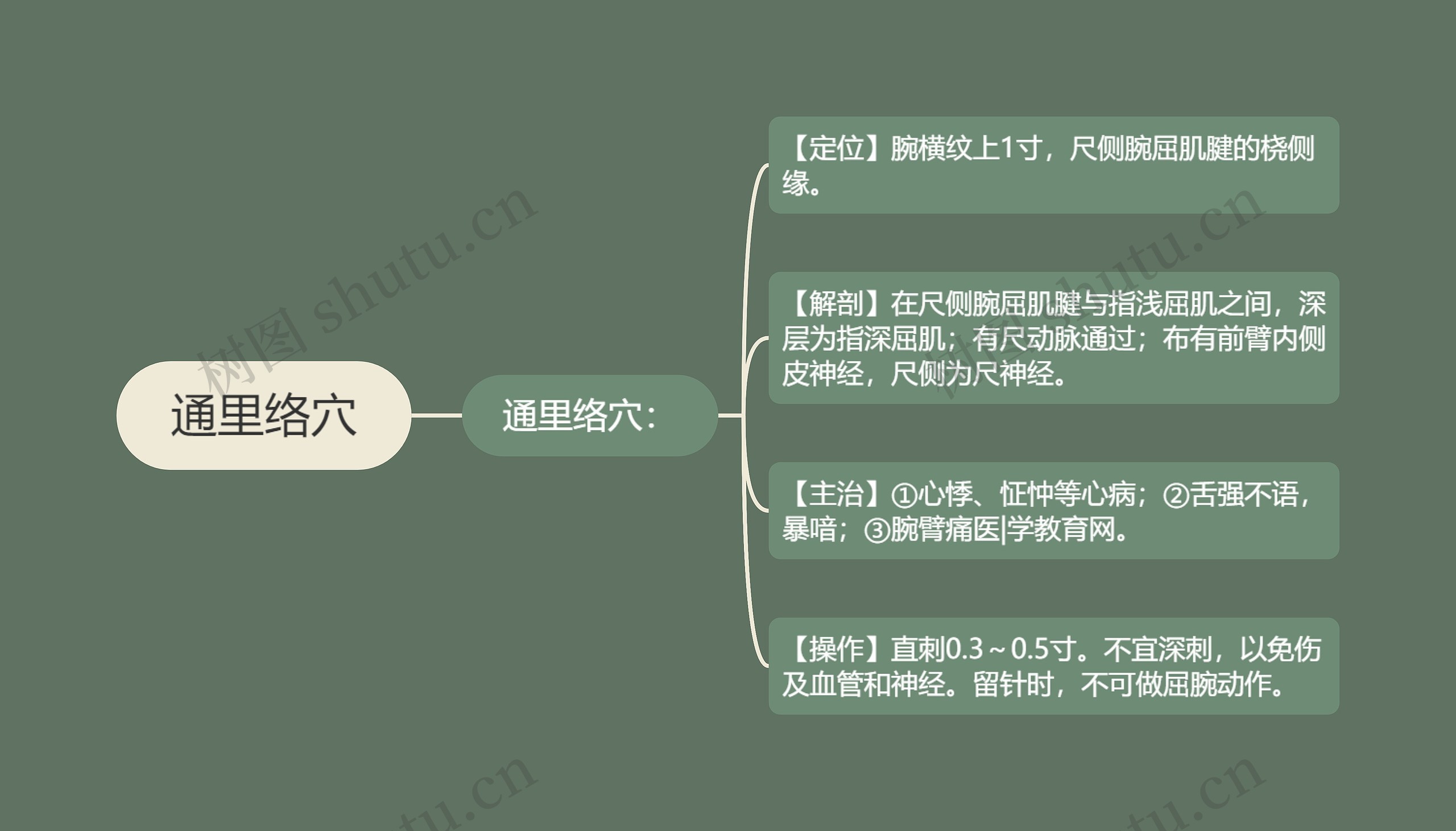 通里络穴思维导图