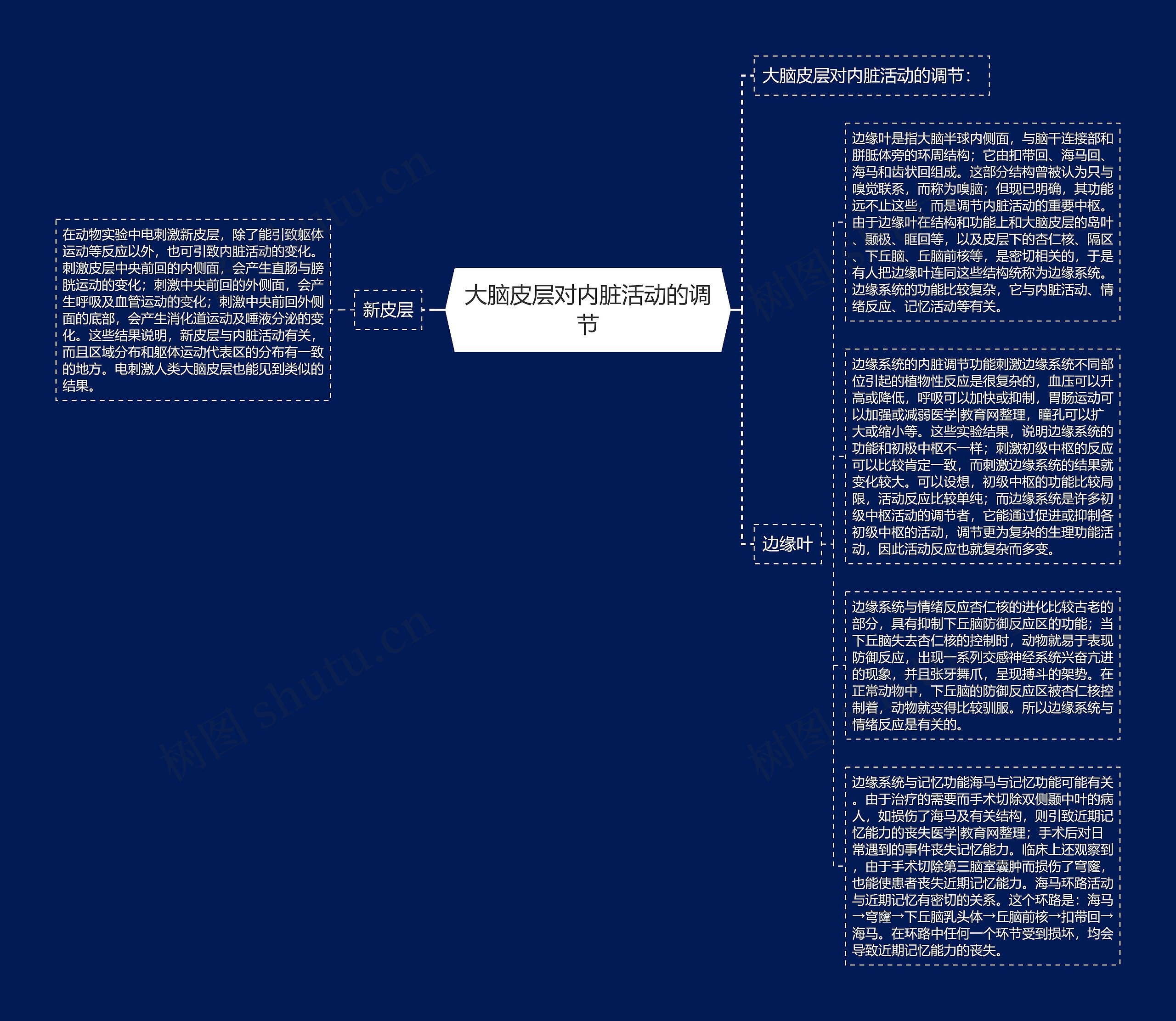 大脑皮层对内脏活动的调节思维导图