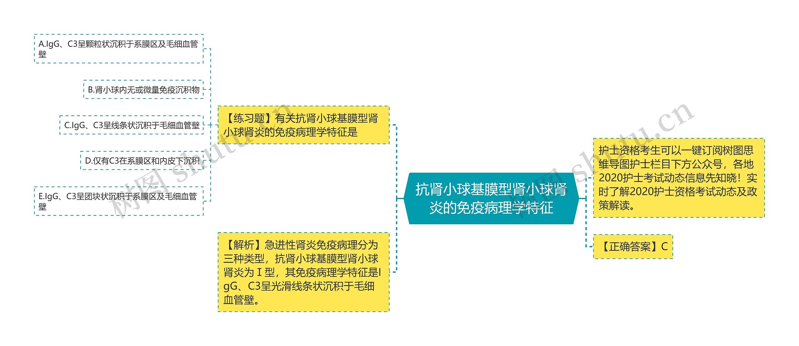 抗肾小球基膜型肾小球肾炎的免疫病理学特征 抗肾小球基膜型肾小球肾炎的免疫病理学特征