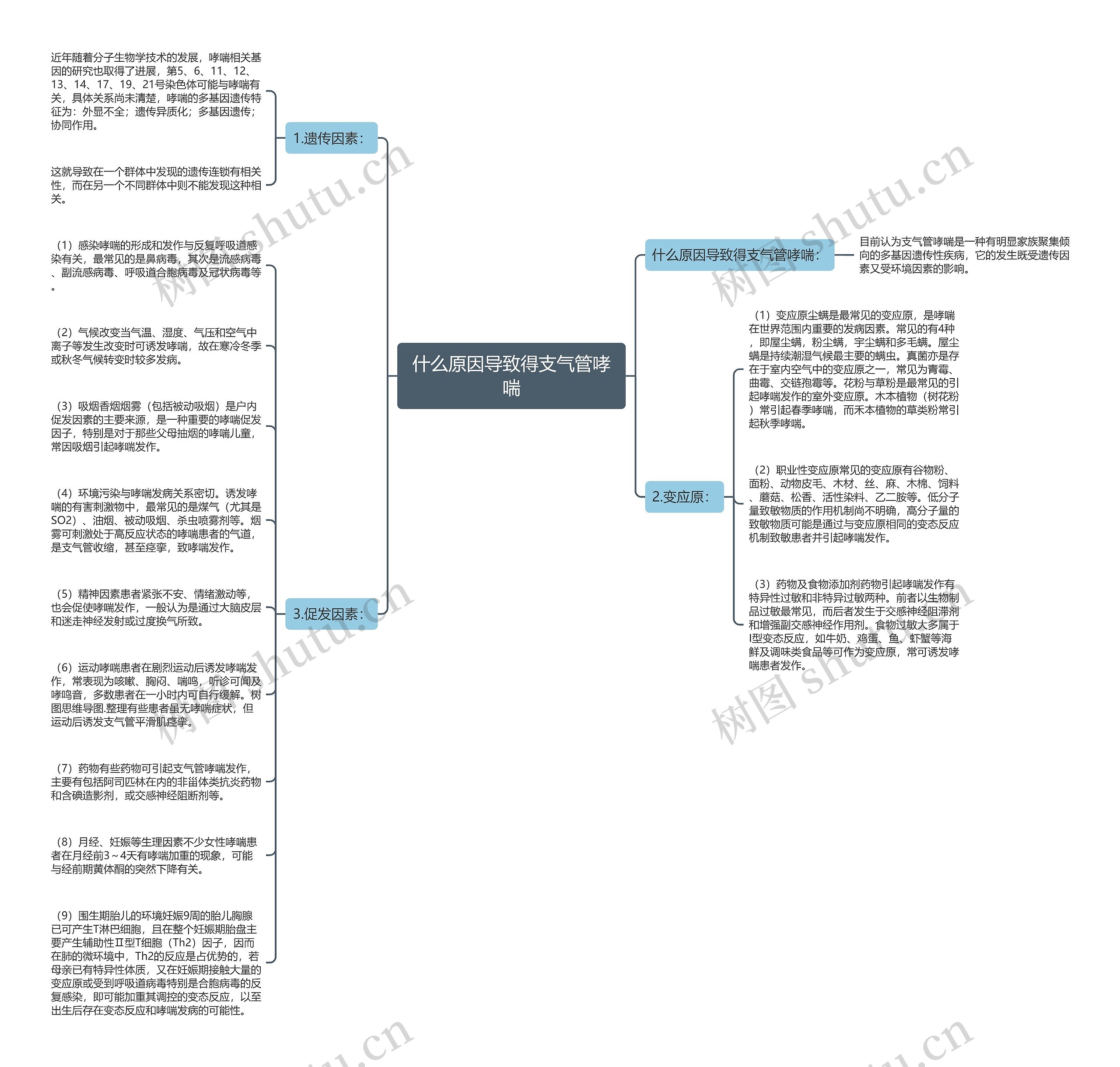 什么原因导致得支气管哮喘思维导图