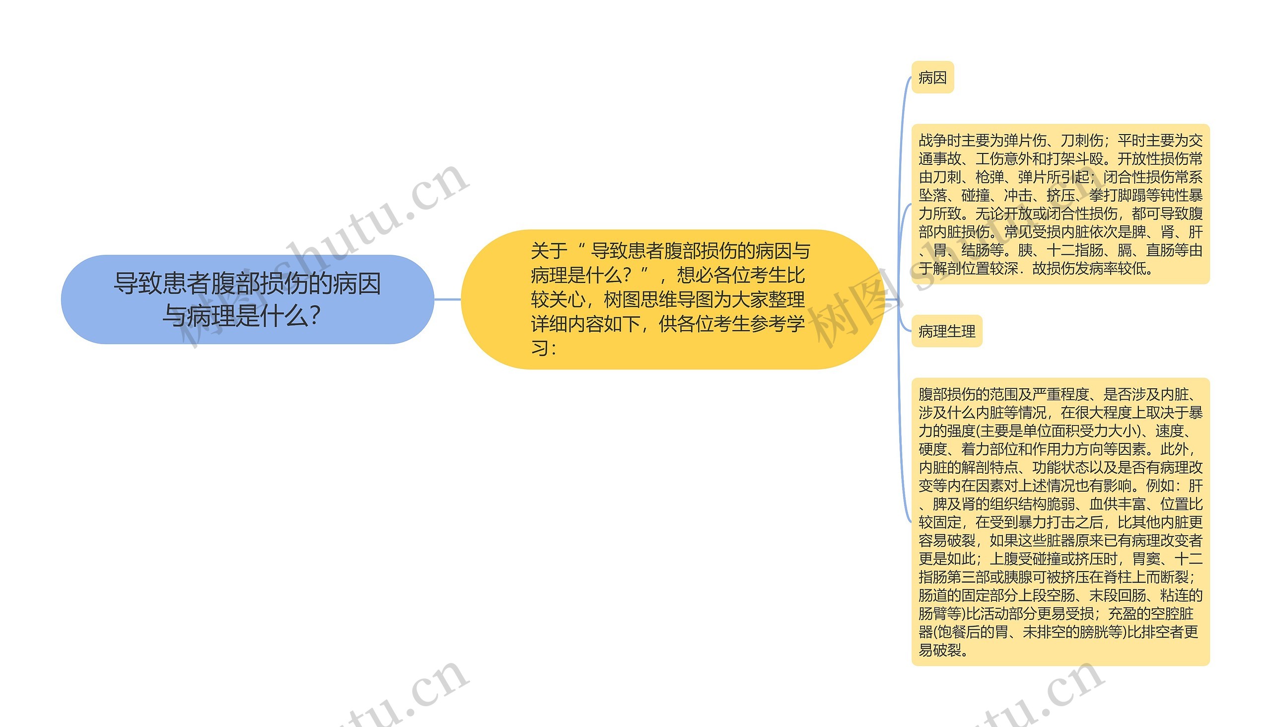 导致患者腹部损伤的病因与病理是什么？思维导图