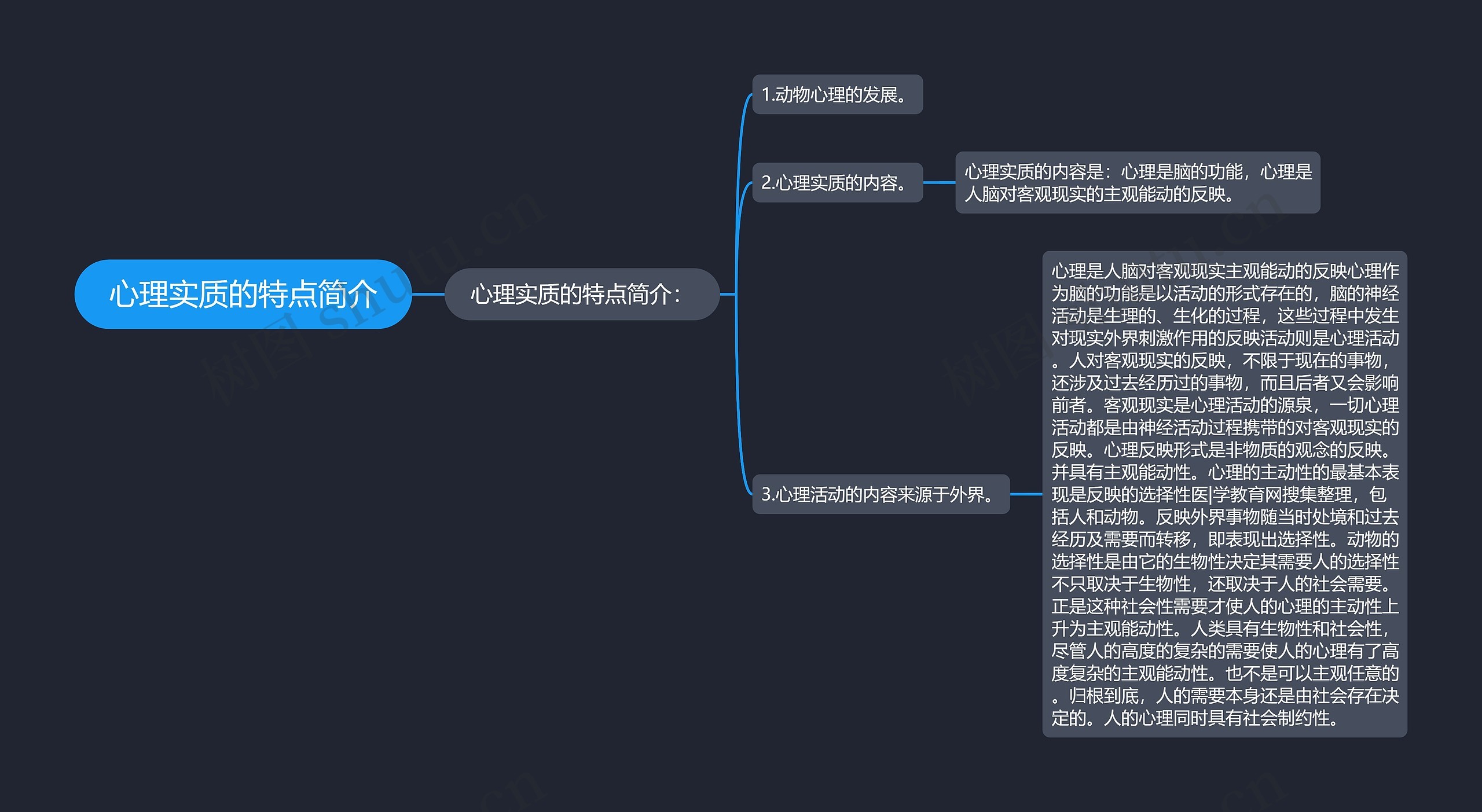 心理实质的特点简介思维导图