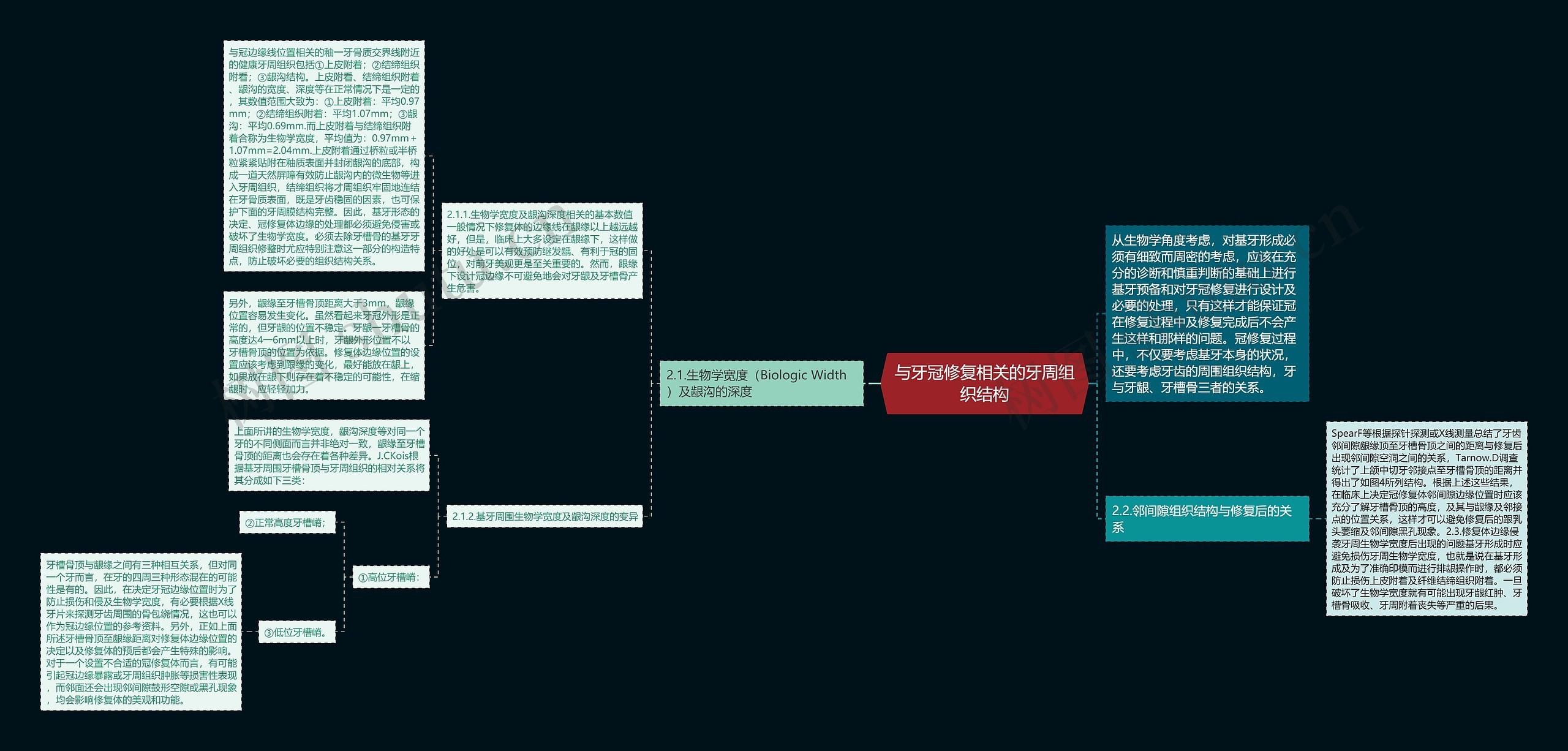 与牙冠修复相关的牙周组织结构思维导图