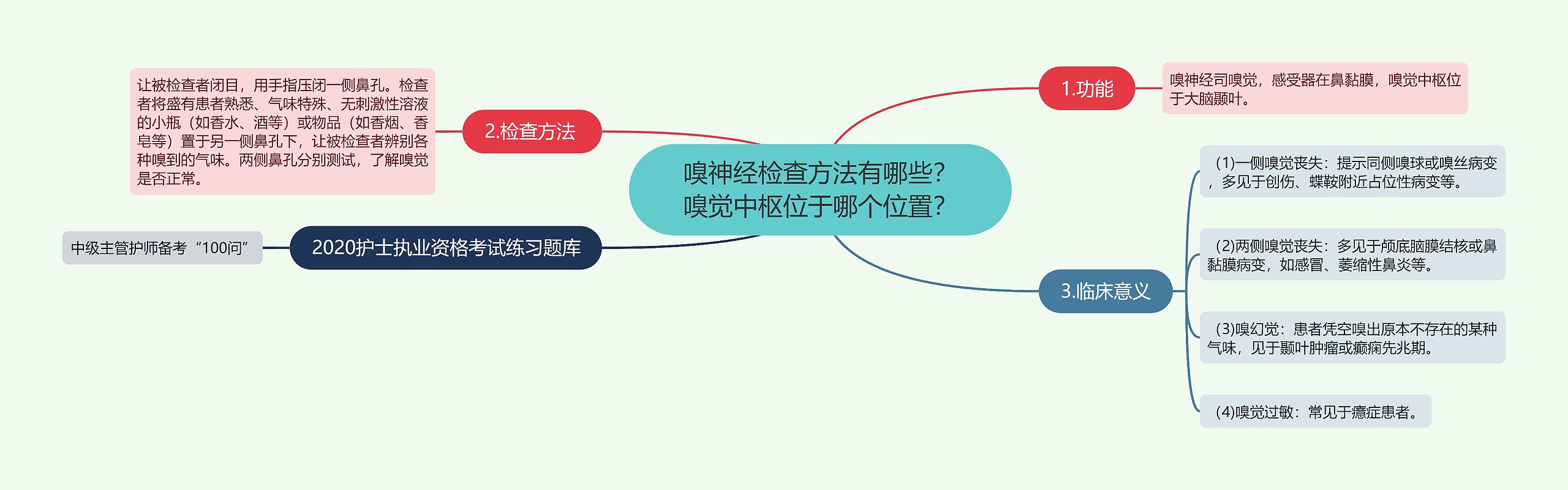 嗅神经检查方法有哪些？​嗅觉中枢位于哪个位置？