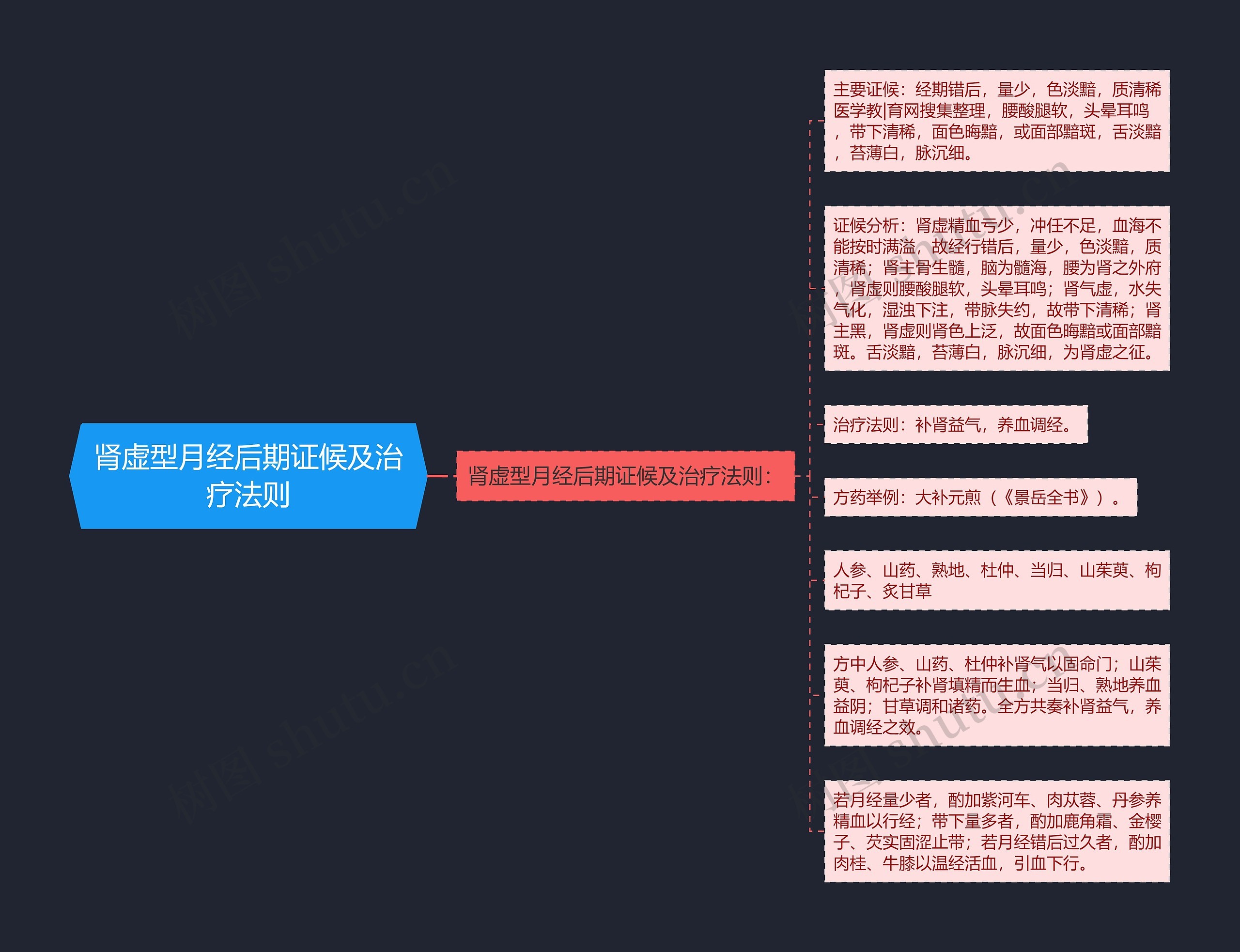 肾虚型月经后期证候及治疗法则思维导图