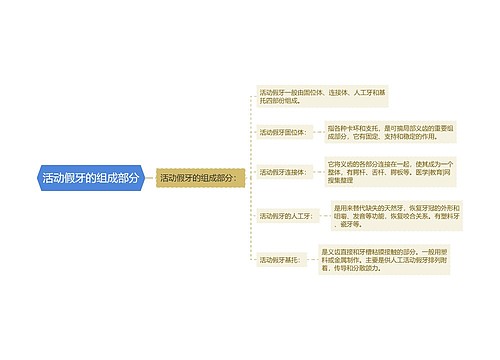 活动假牙的组成部分