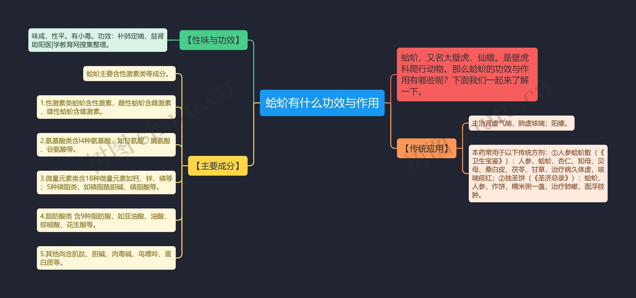 蛤蚧有什么功效与作用思维导图