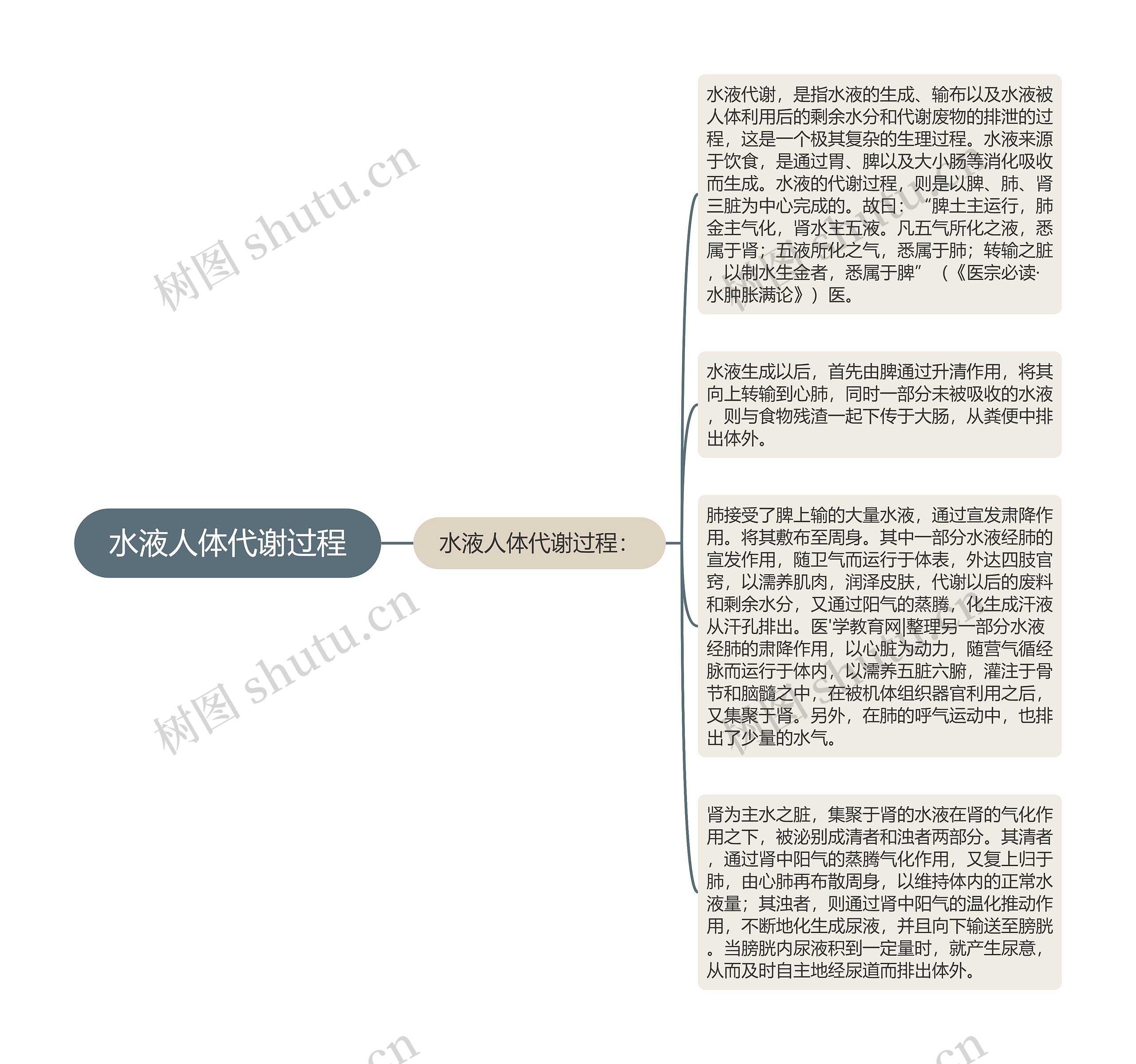 水液人体代谢过程