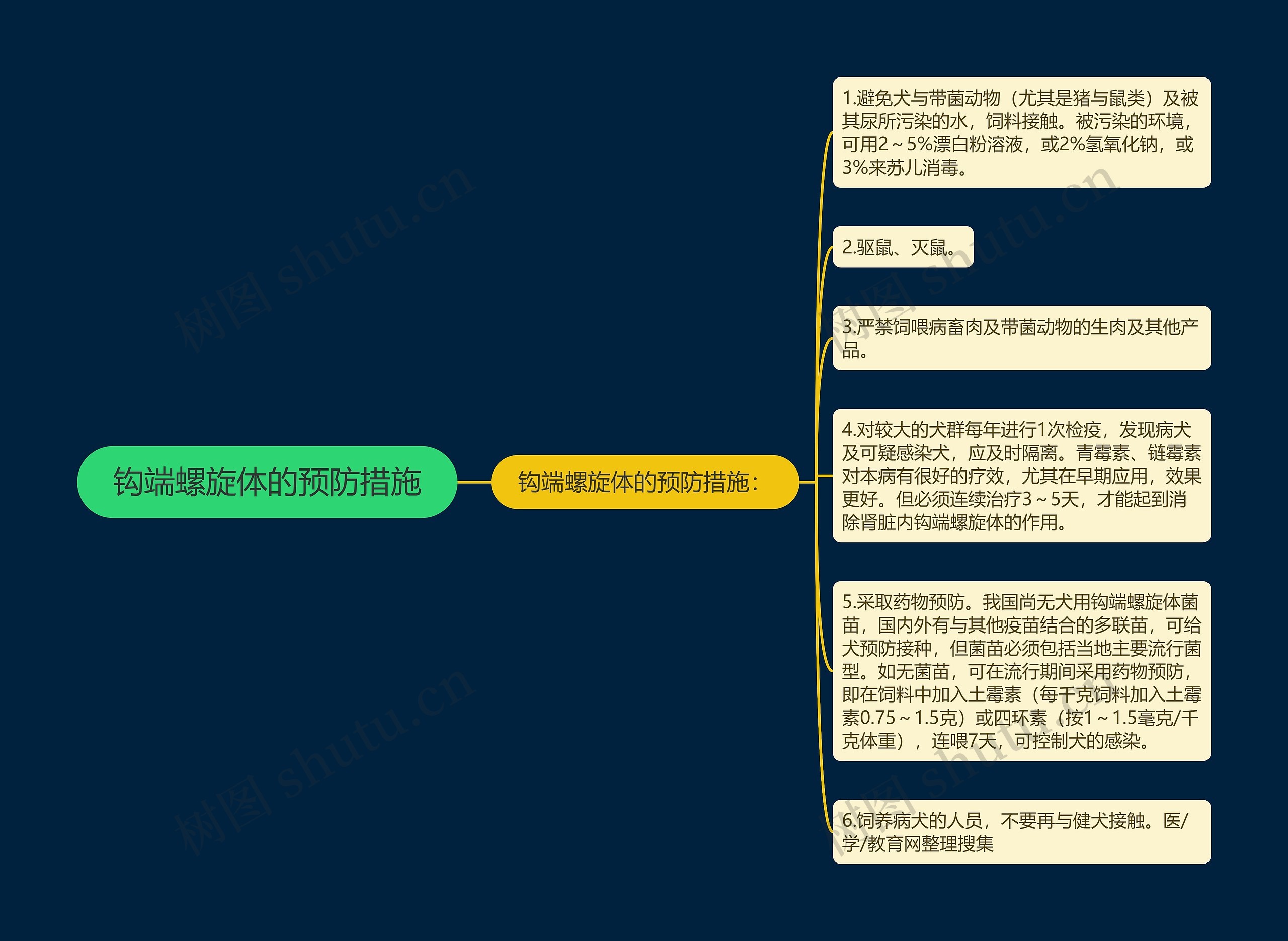 钩端螺旋体的预防措施思维导图