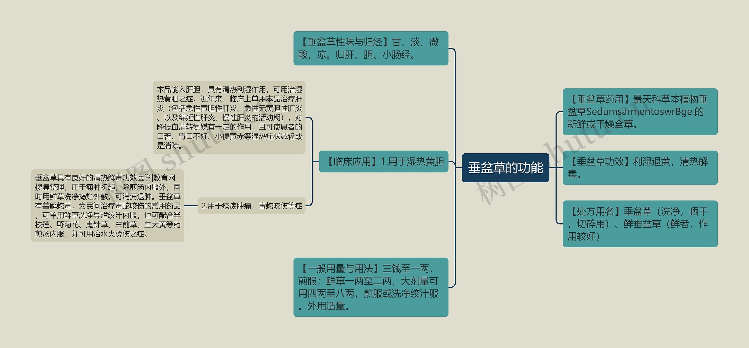 垂盆草的功能思维导图