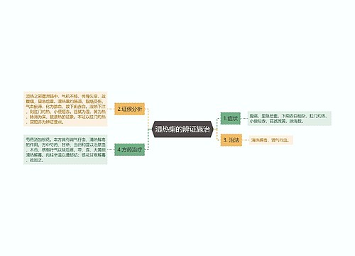 湿热痢的辨证施治