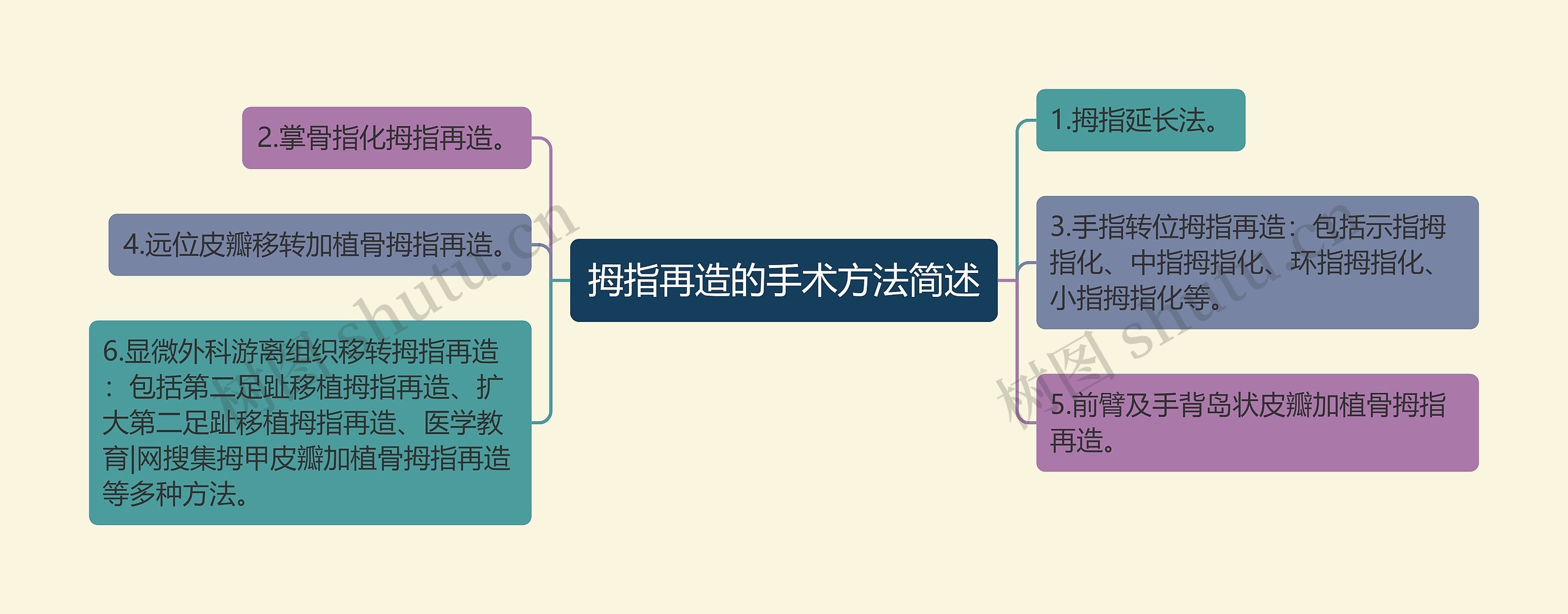 拇指再造的手术方法简述
