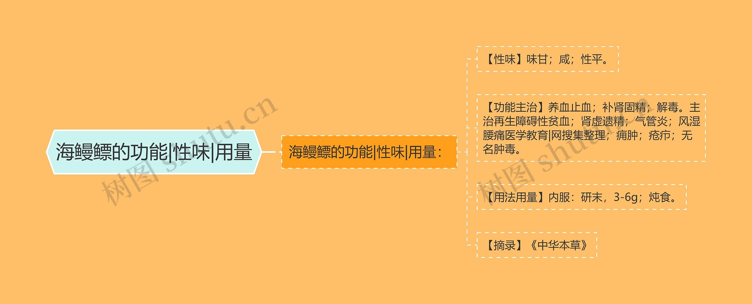 海鳗鳔的功能|性味|用量 海鳗鳔的功能|性味|用量