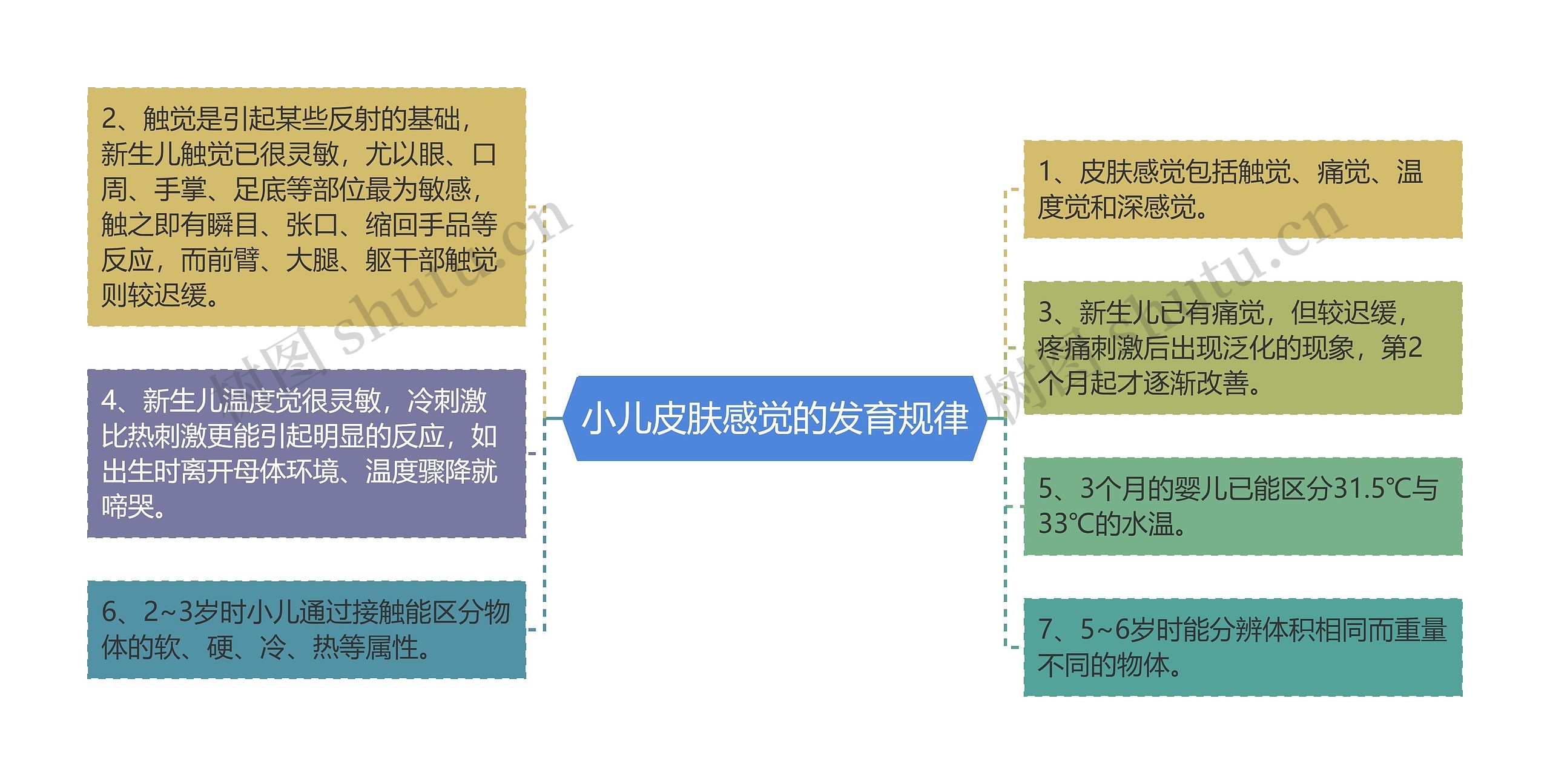 小儿皮肤感觉的发育规律思维导图