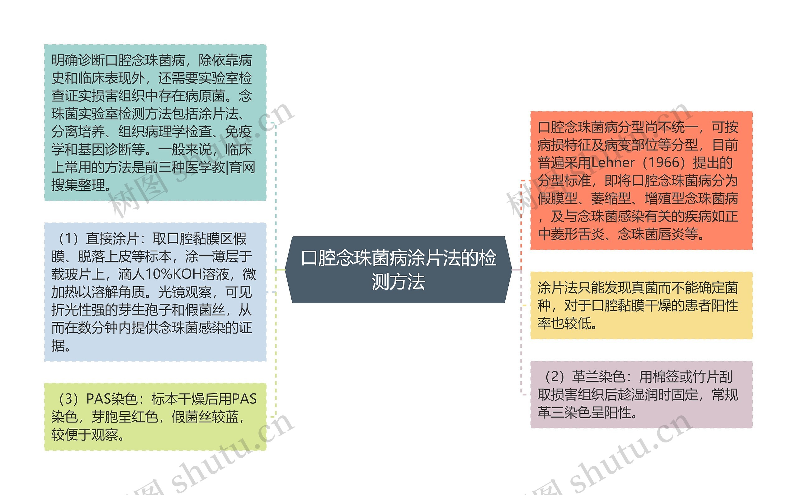 口腔念珠菌病涂片法的检测方法思维导图