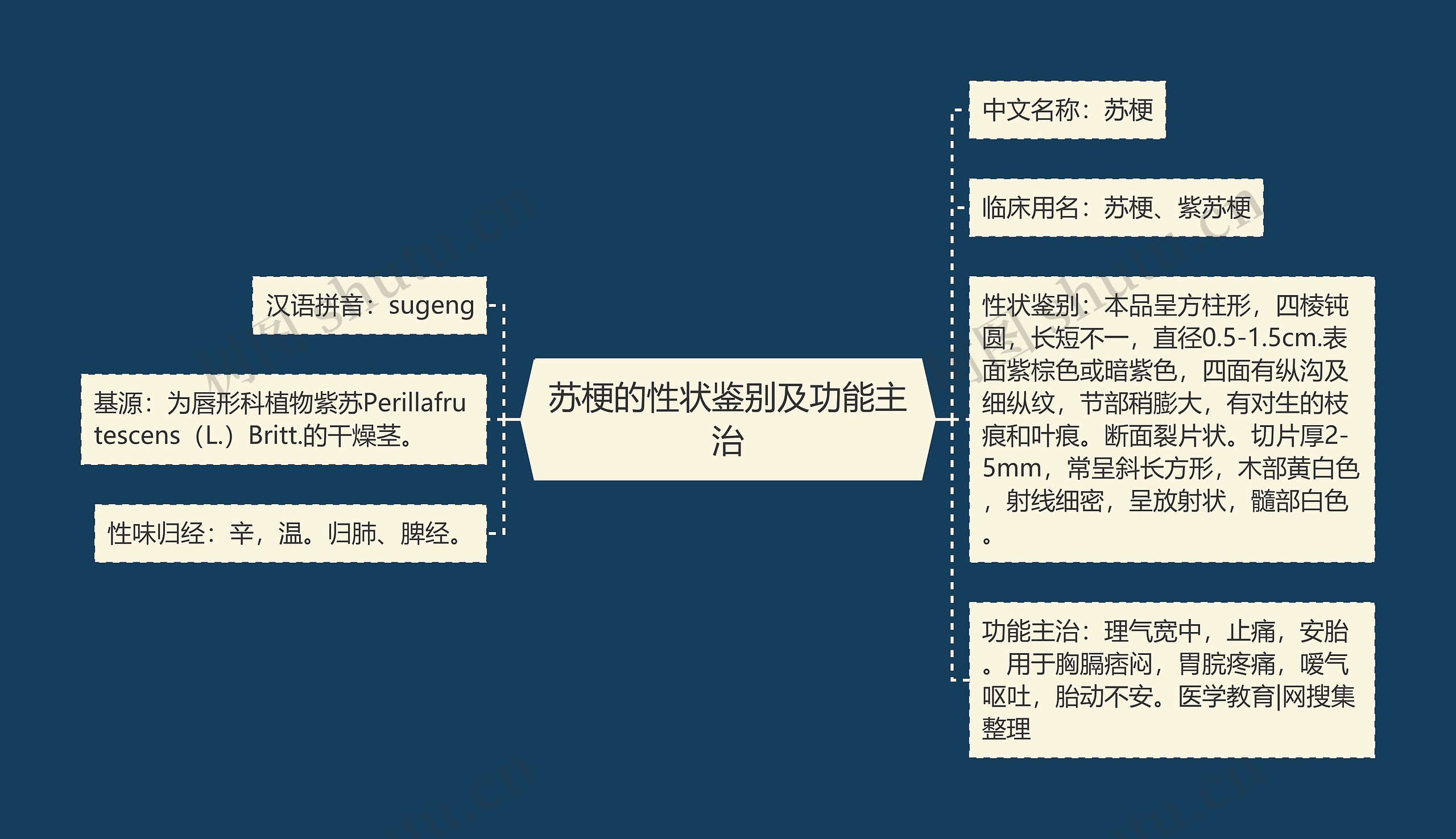 苏梗的性状鉴别及功能主治 苏梗的性状鉴别及功能主治