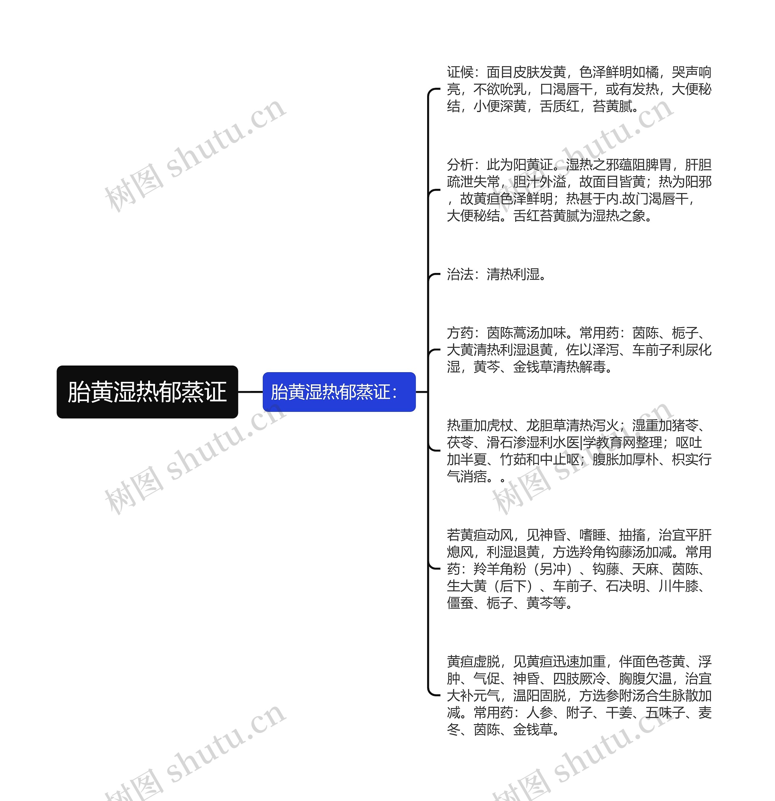 胎黄湿热郁蒸证思维导图