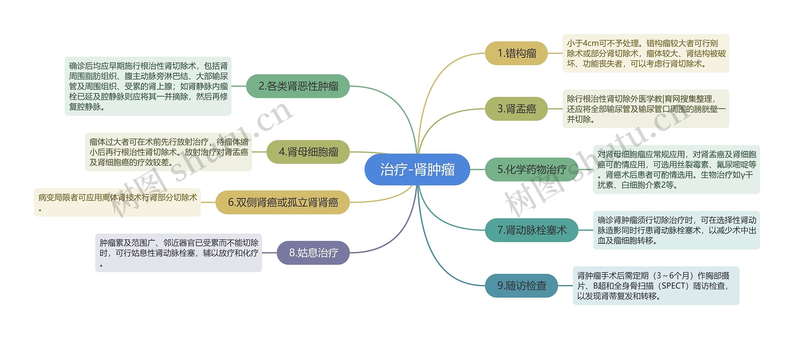 治疗-肾肿瘤思维导图