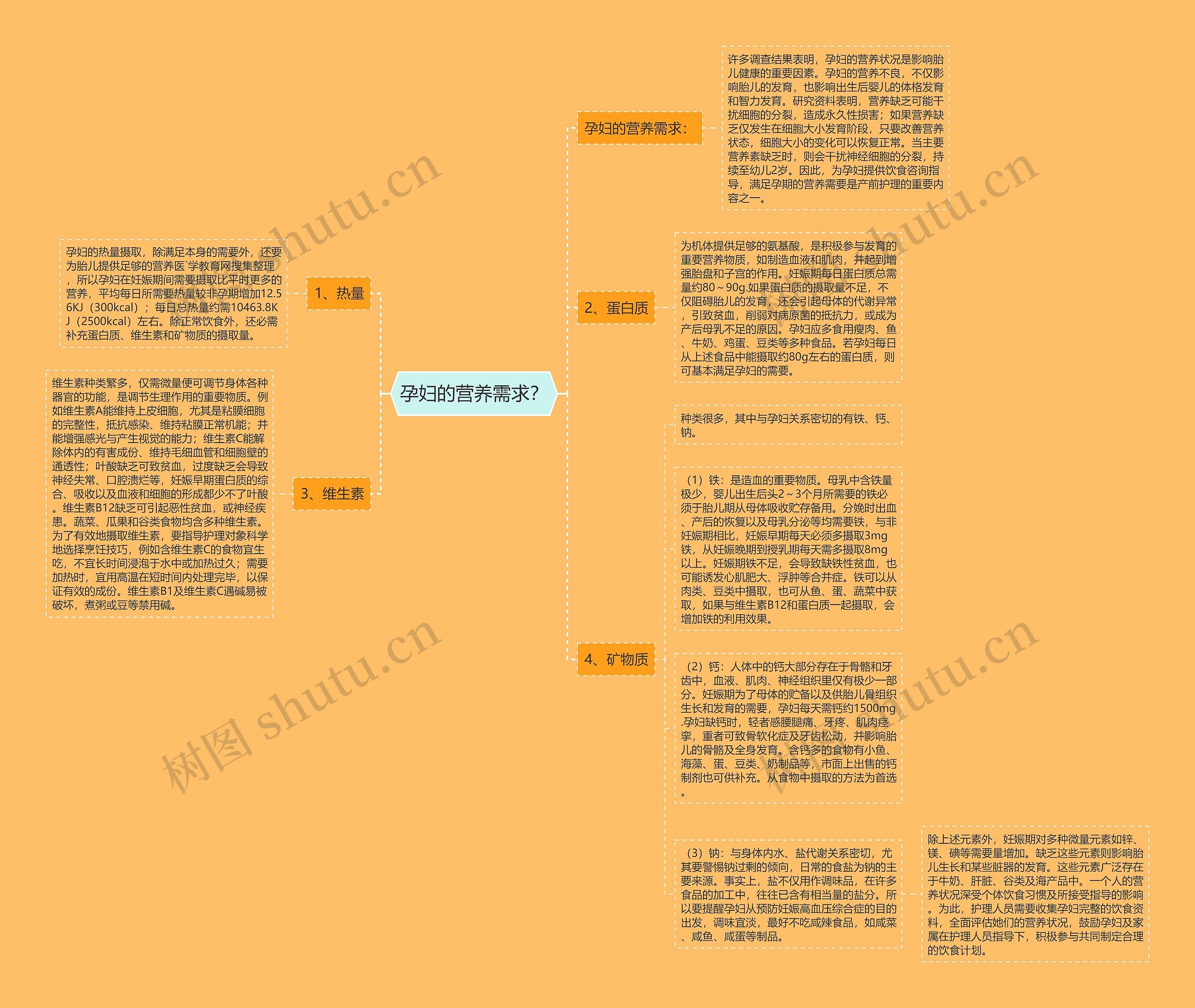 孕妇的营养需求？思维导图