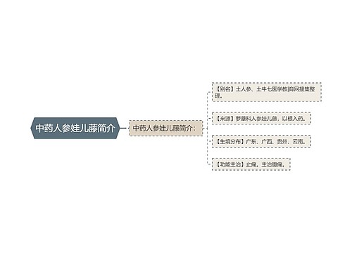 中药人参娃儿藤简介