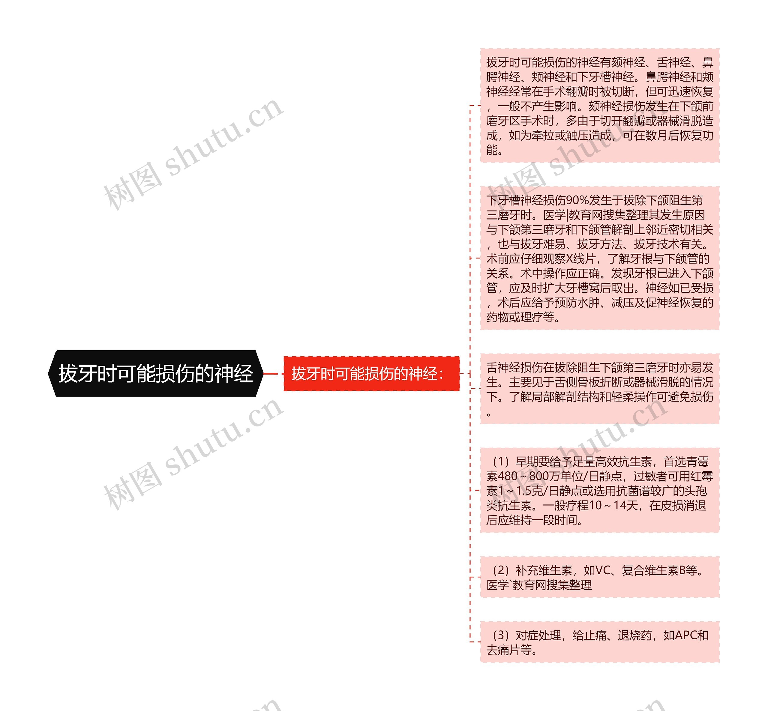 拔牙时可能损伤的神经思维导图