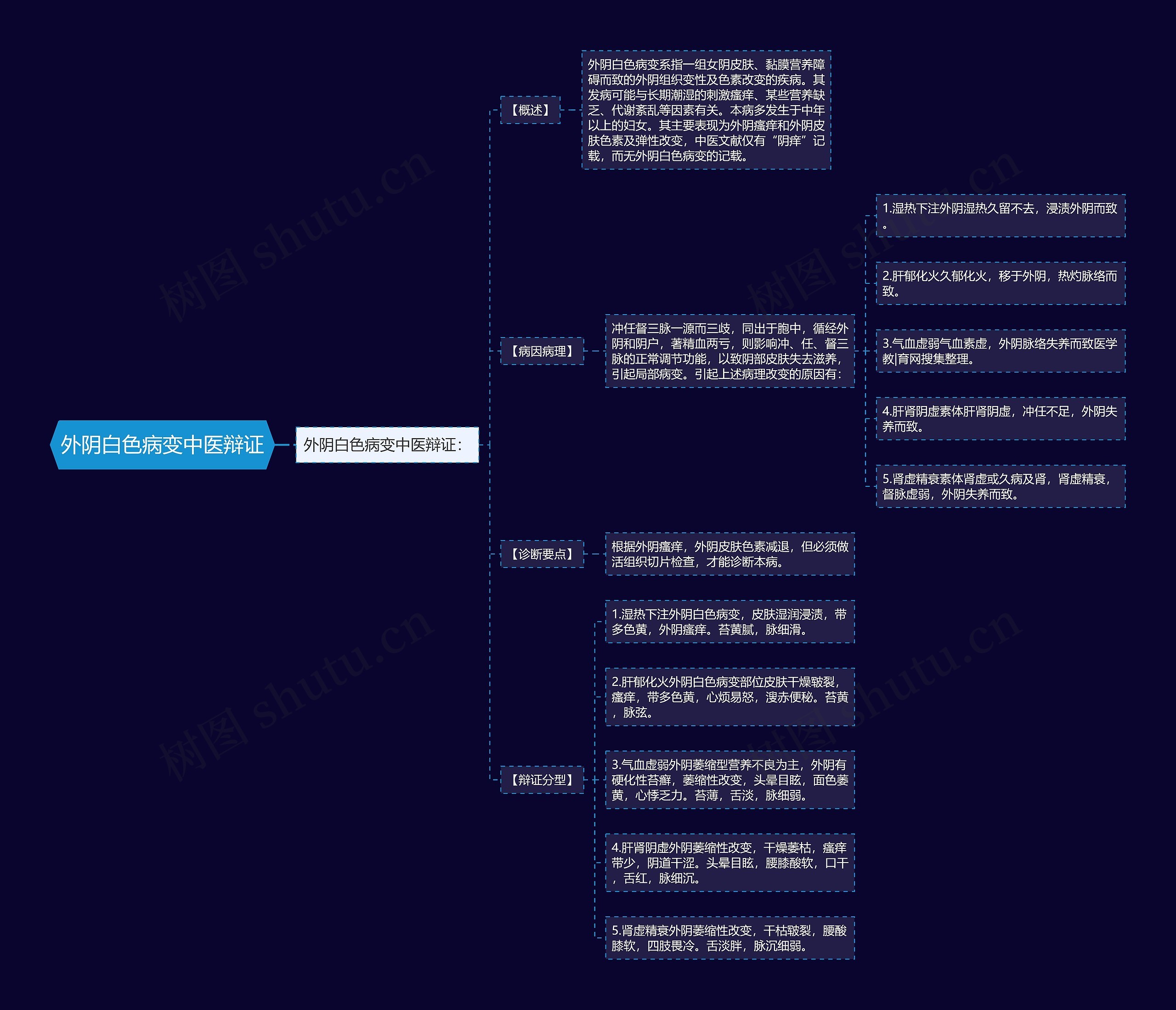 外阴白色病变中医辩证思维导图
