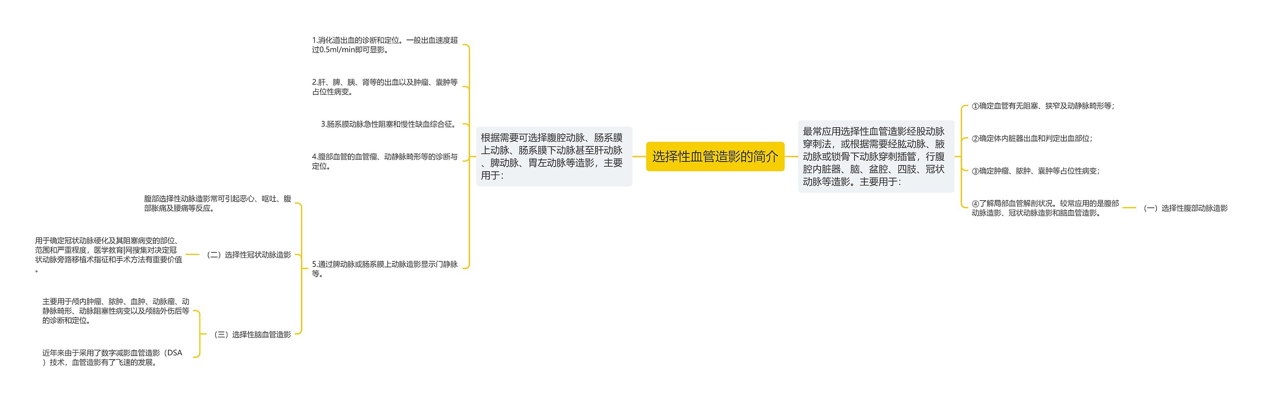 选择性血管造影的简介