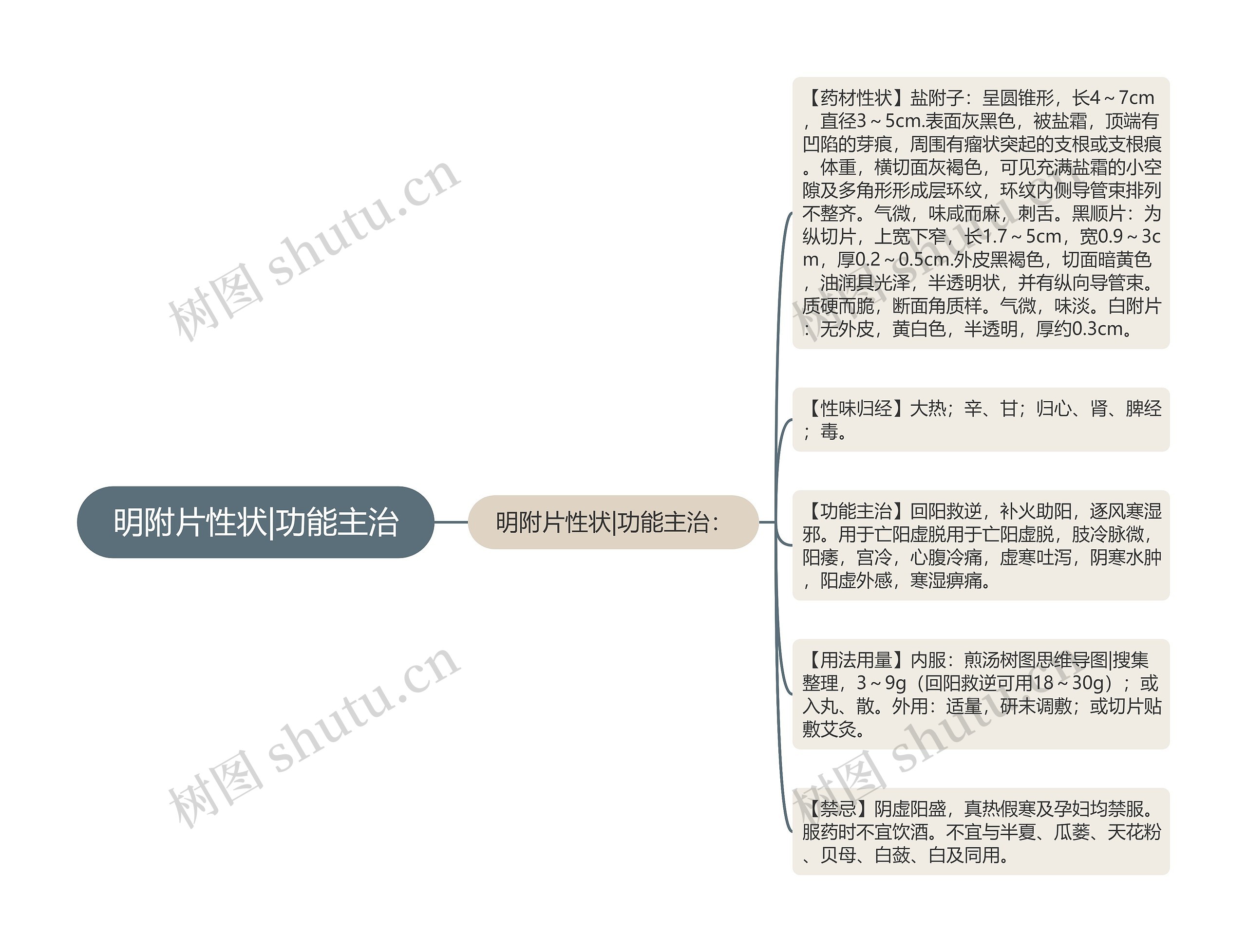 明附片性状|功能主治思维导图