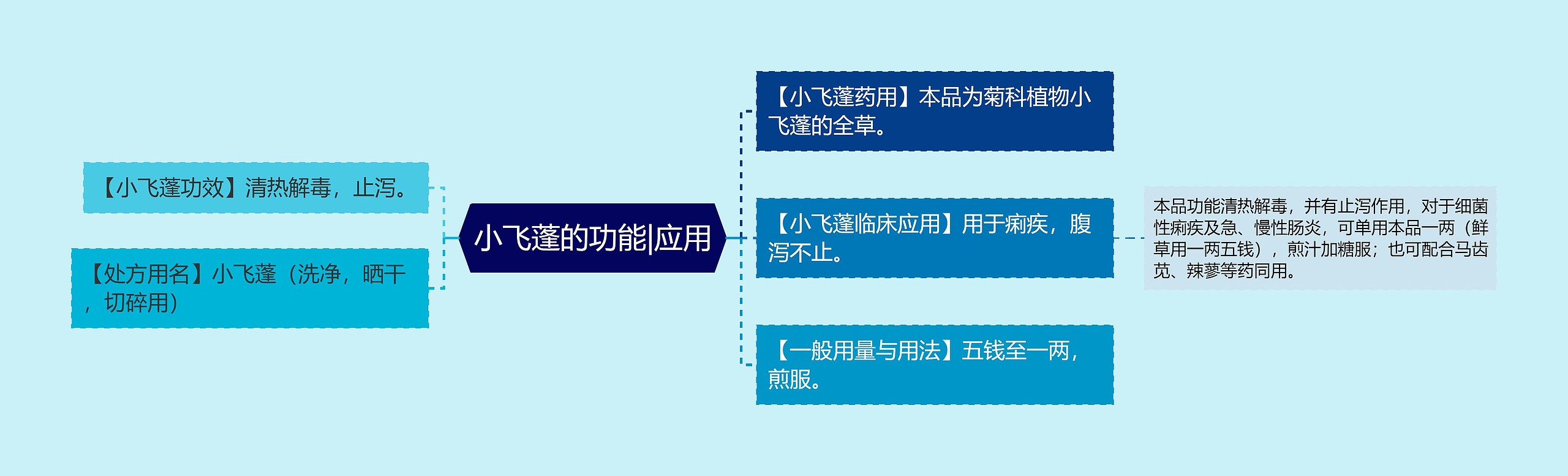 小飞蓬的功能|应用 小飞蓬的功能|应用
