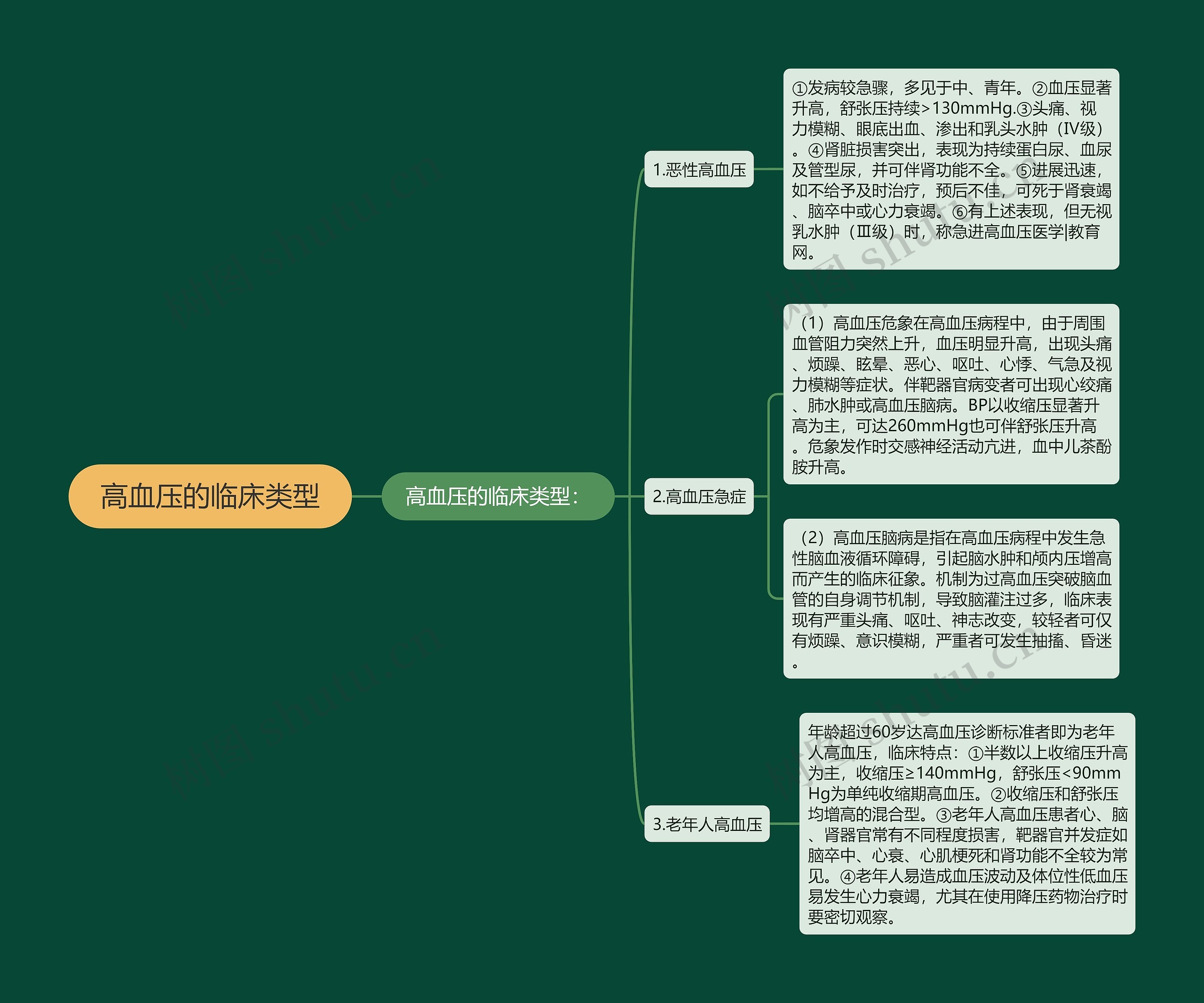 高血压的临床类型