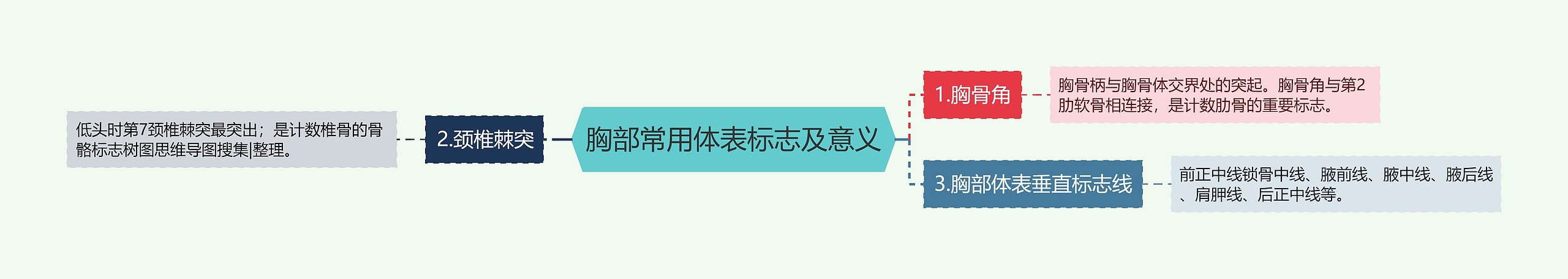 胸部常用体表标志及意义 胸部常用体表标志及意义